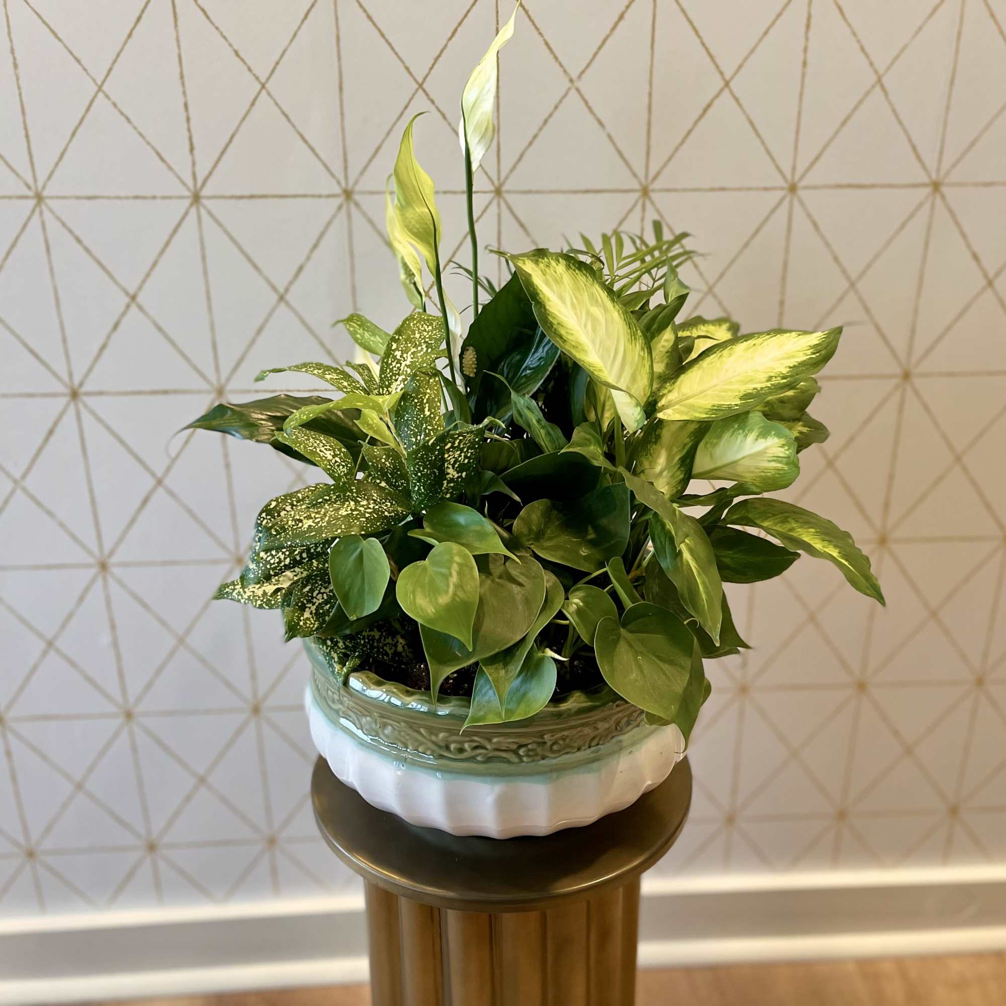 Potted green foliage arrangement in a decorative ceramic planter