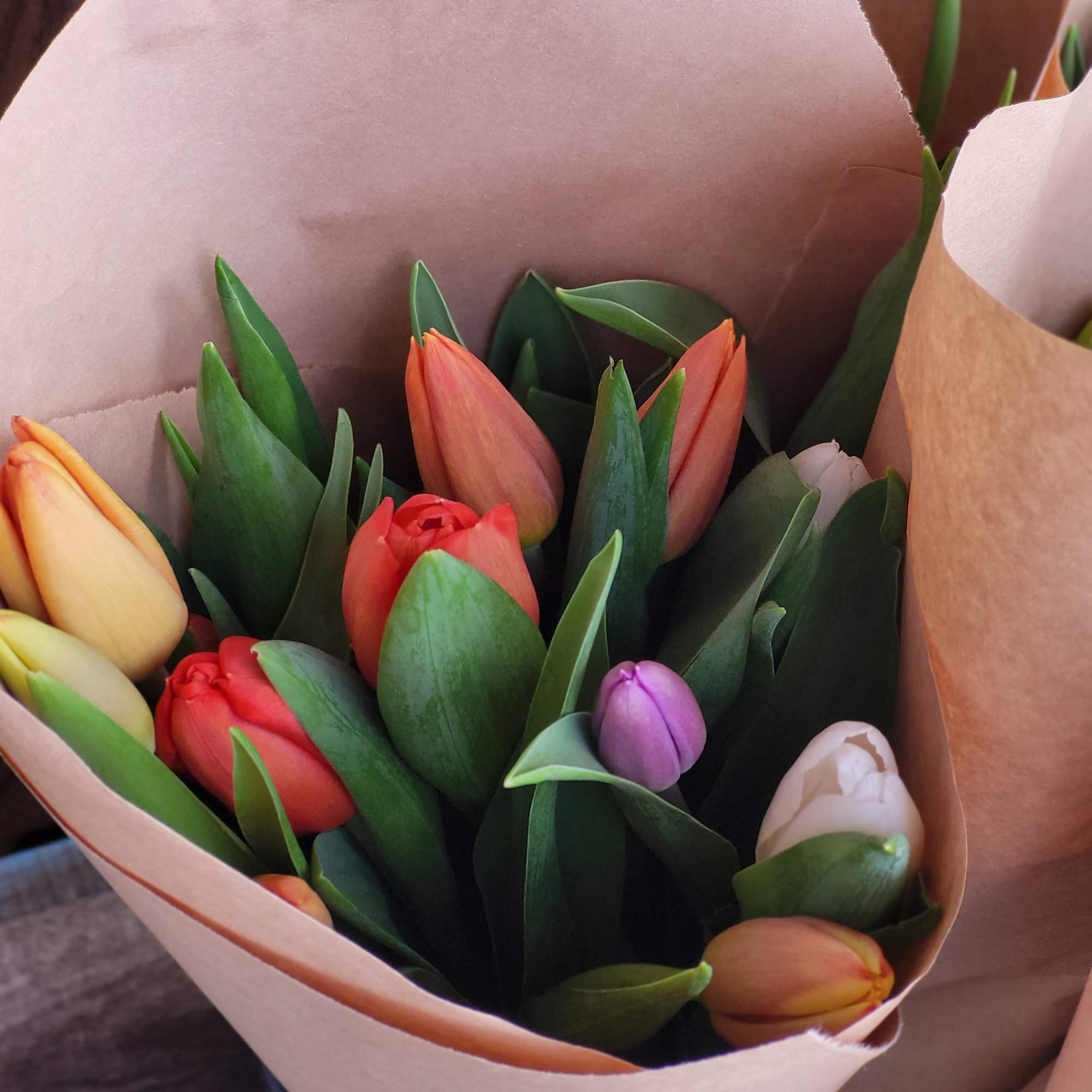 Bouquet of multicolored tulips wrapped in pale pink paper