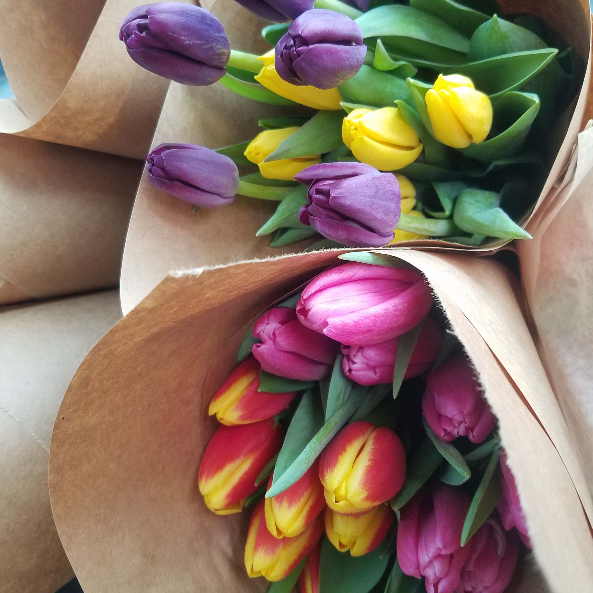 Bouquets of purple, yellow, and pink tulips wrapped in brown paper