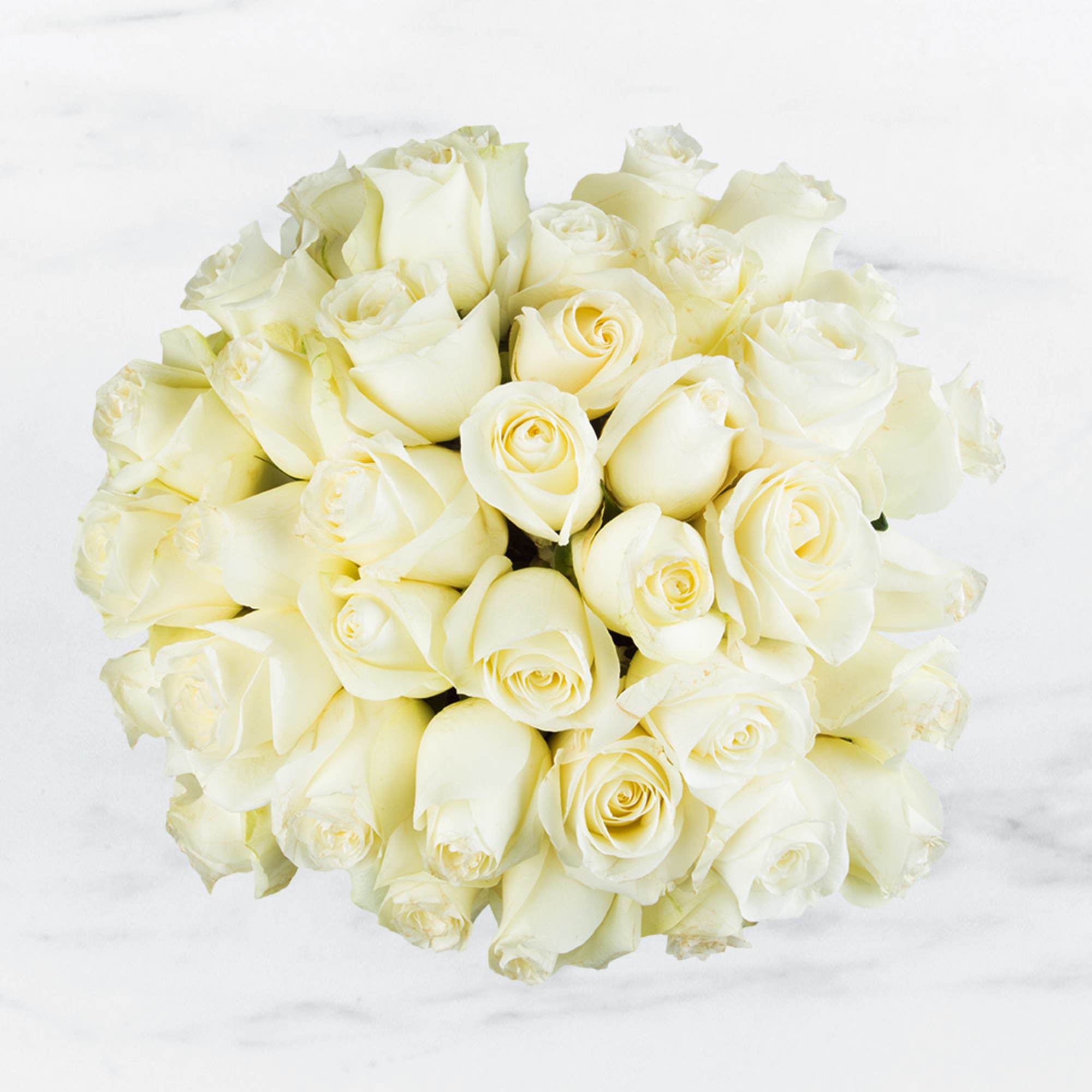 Bouquet of white roses arranged in a round cluster