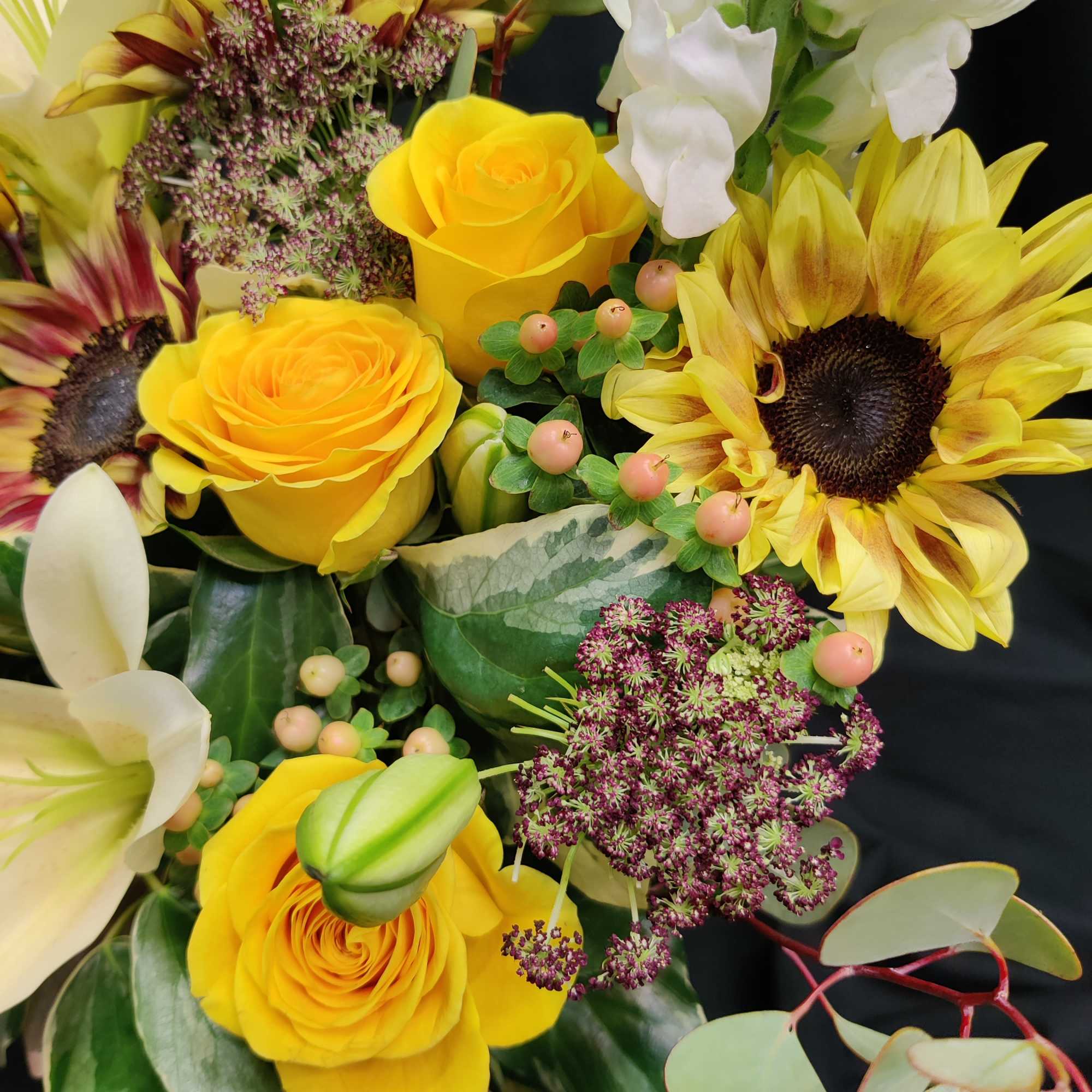 Mahogany sunflowers have a SHORT season, and may be substituted for another, photo 4 of 4
