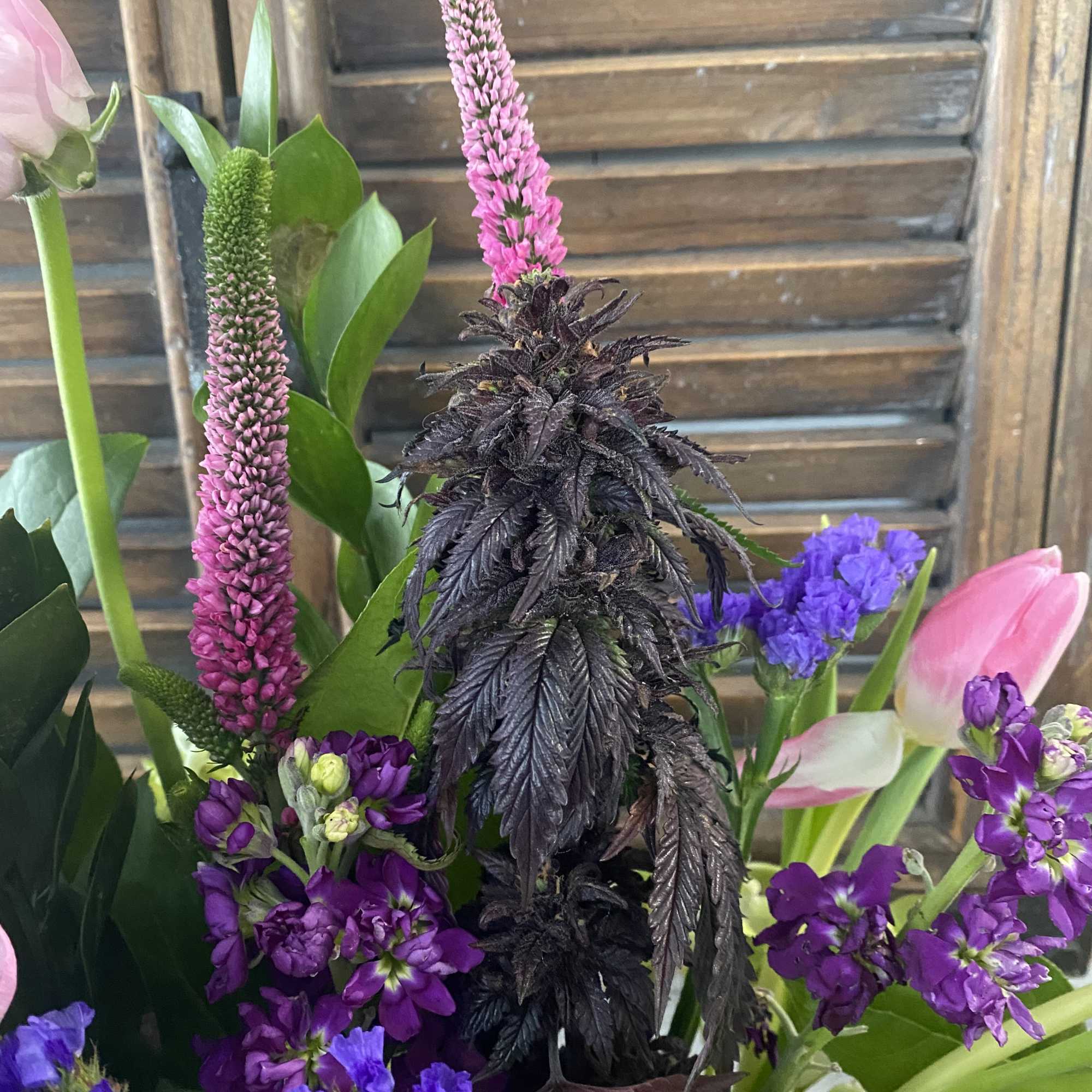 Mixed bouquet with pink tulips, purple blooms, and tall pink flower spikes