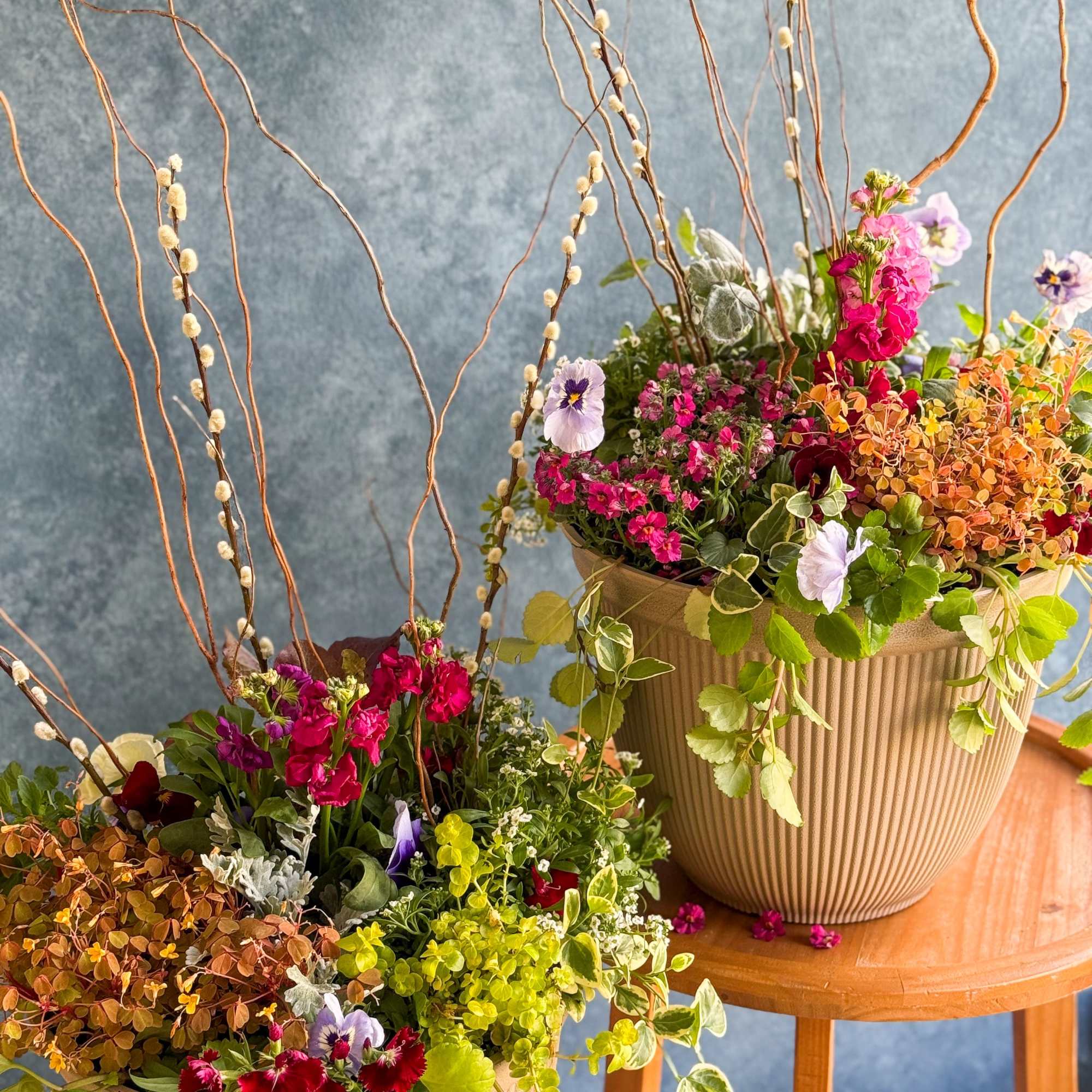 Two mixed flower planters with tall twig accents and trailing plants