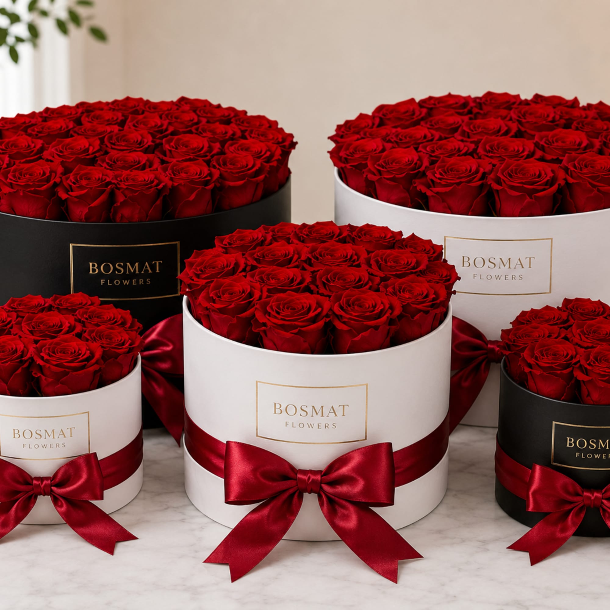 We will fill a Box Full of roses for you at a