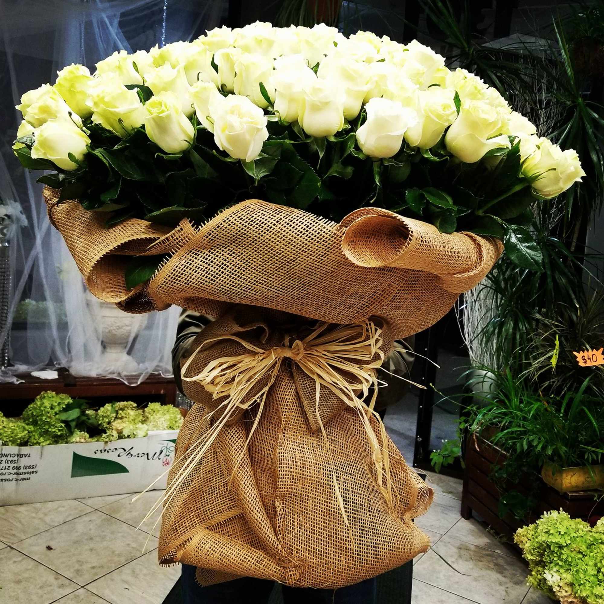 Large bouquet of white roses wrapped in burlap