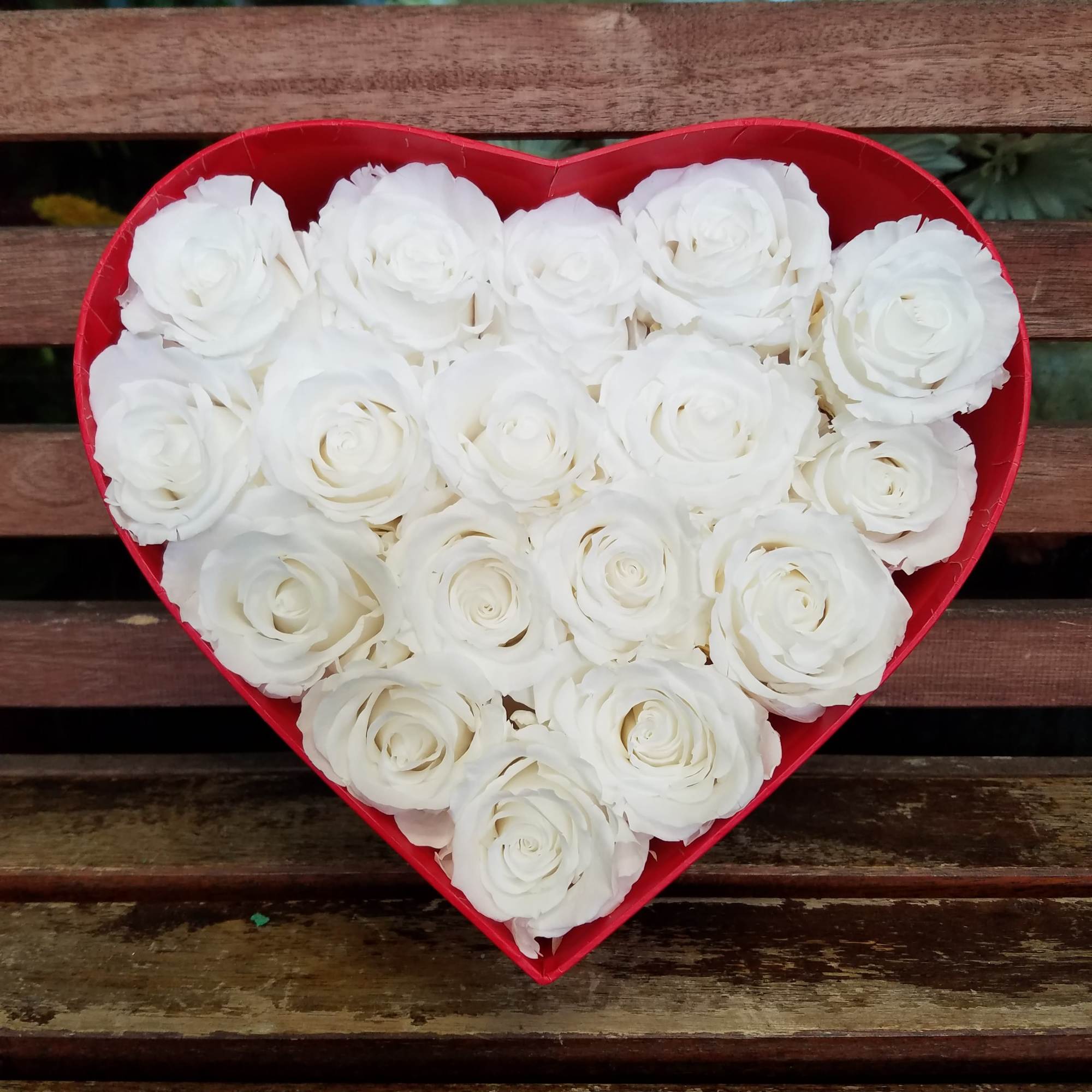 Heart-shaped box filled with white roses
