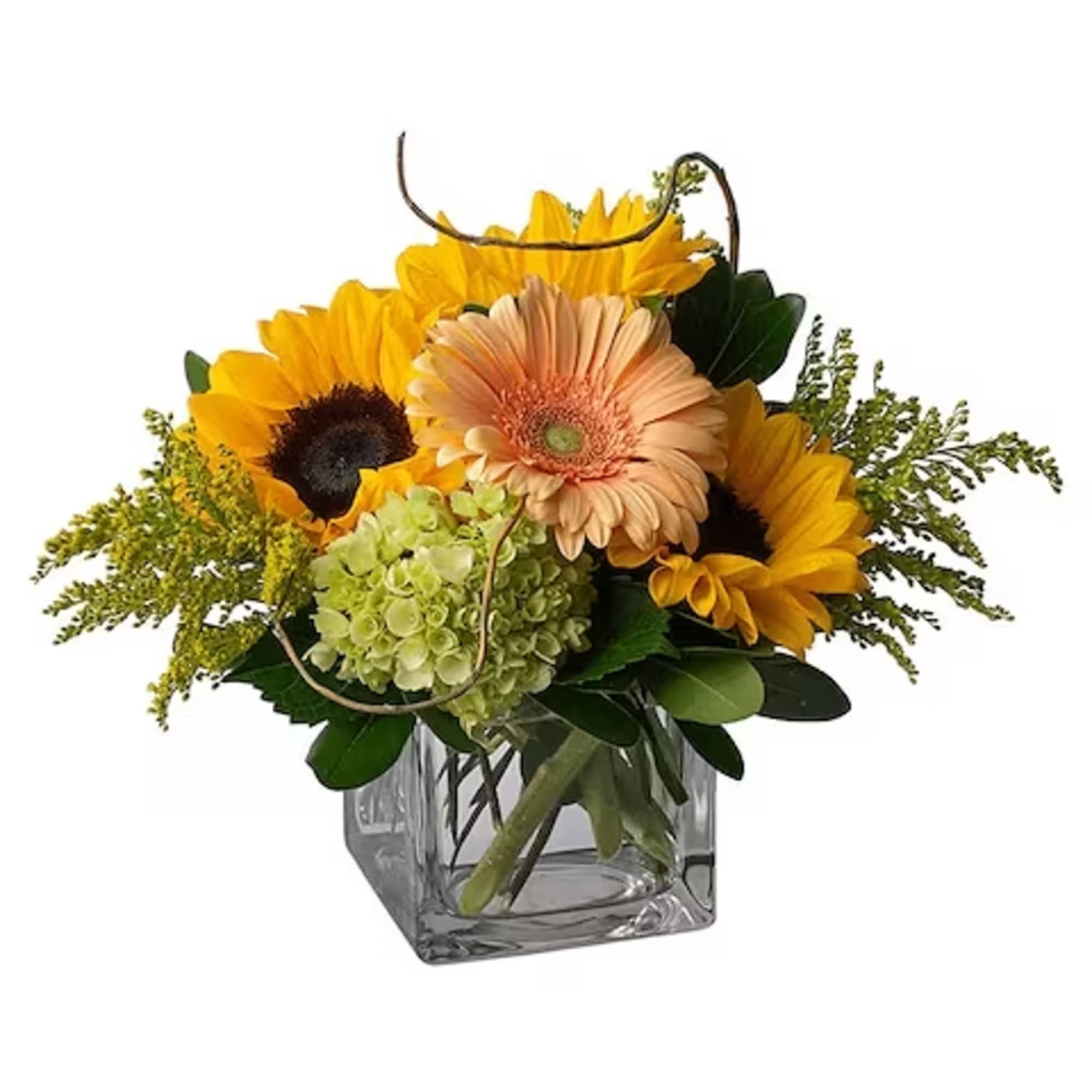 Sunflower and gerbera daisy arrangement in a square glass vase