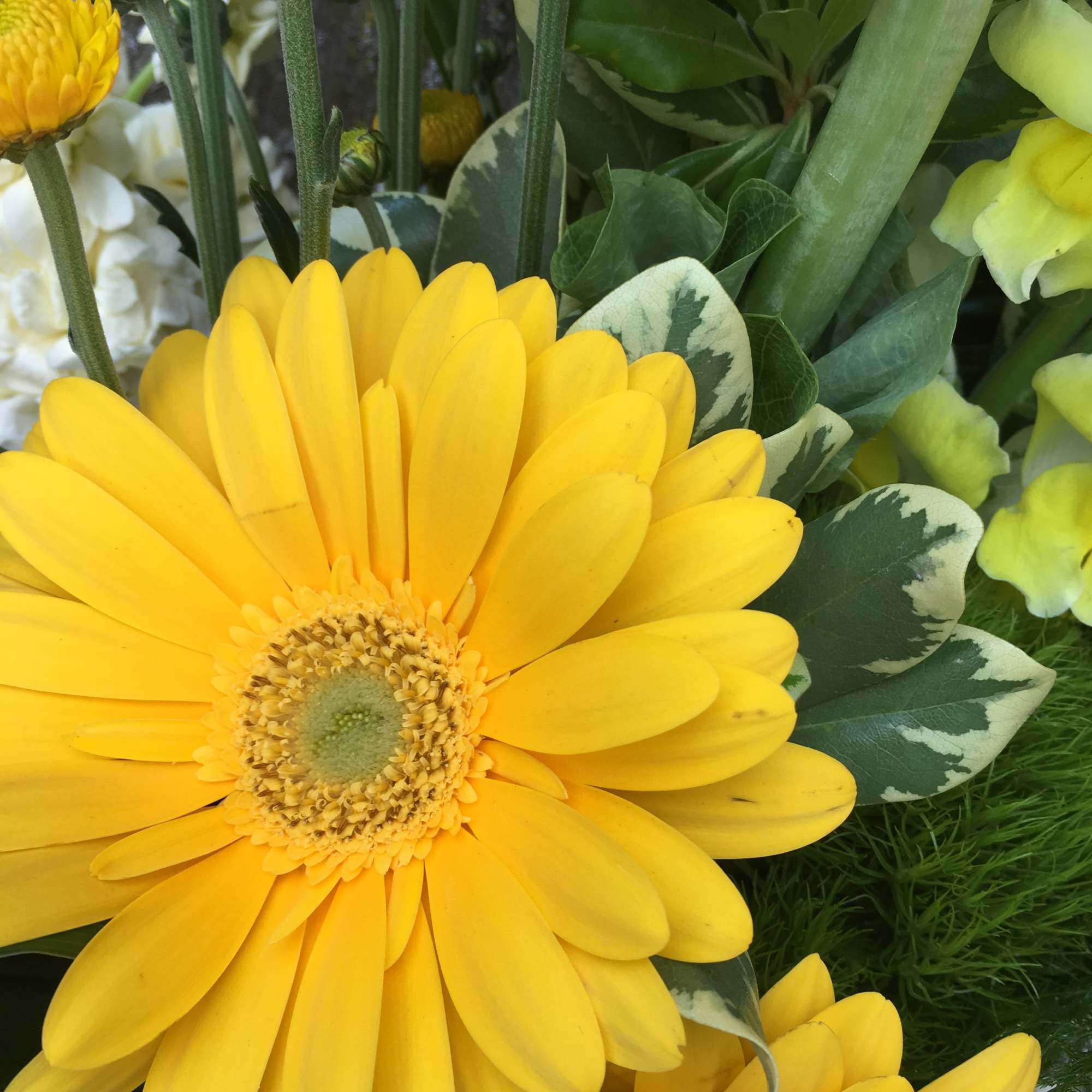 Yellow gerbera daisy in a mixed bouquet