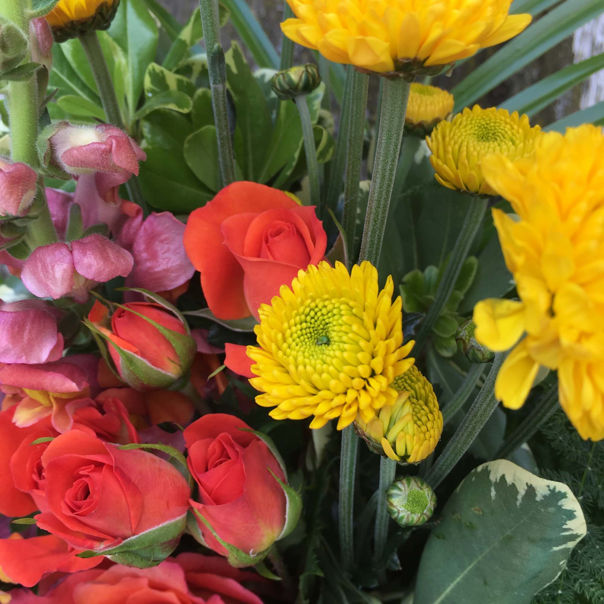 Bouquet of red roses, yellow chrysanthemums, and pink snapdragons
