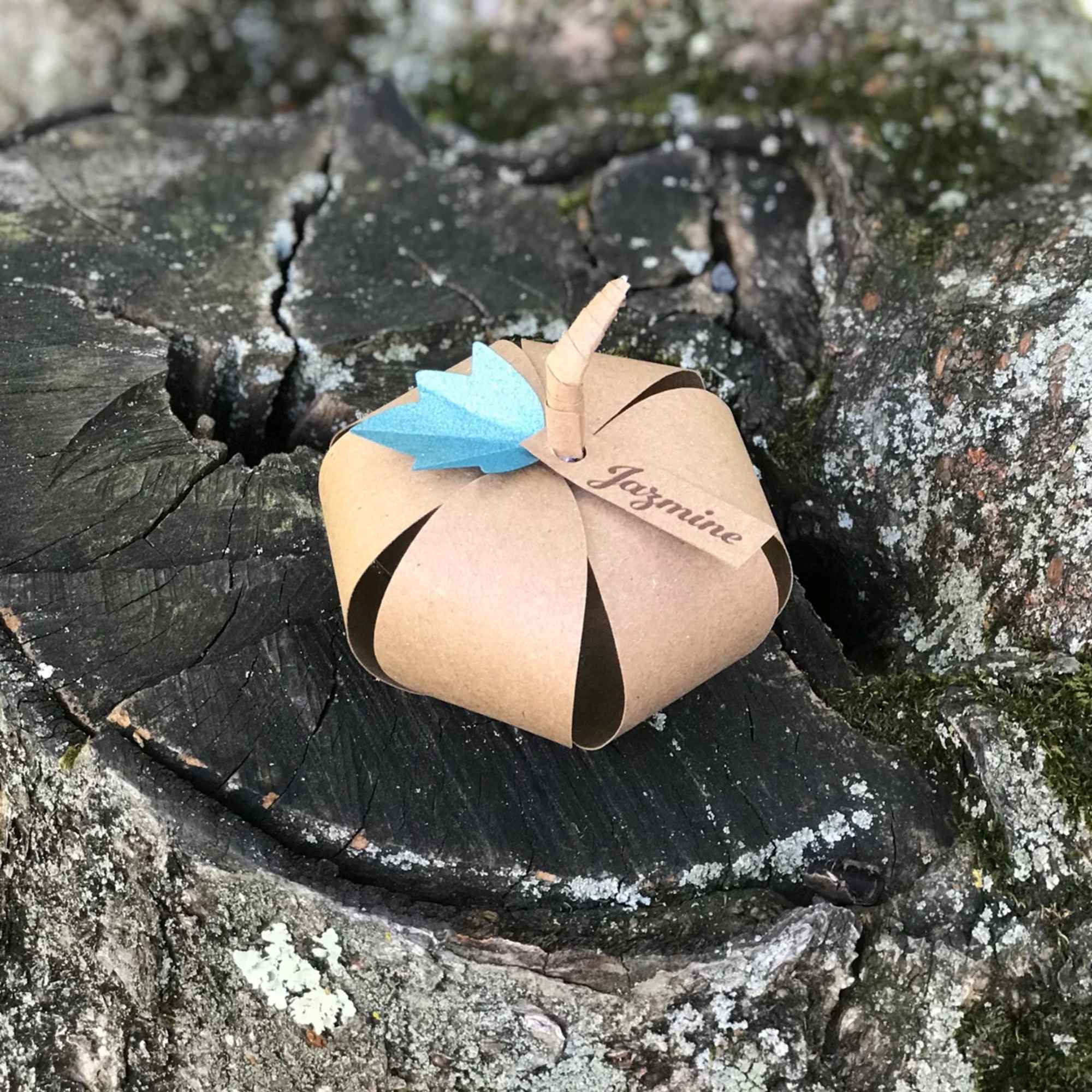 Small paper-wrapped gift with a blue accent and name tag on a tree stump