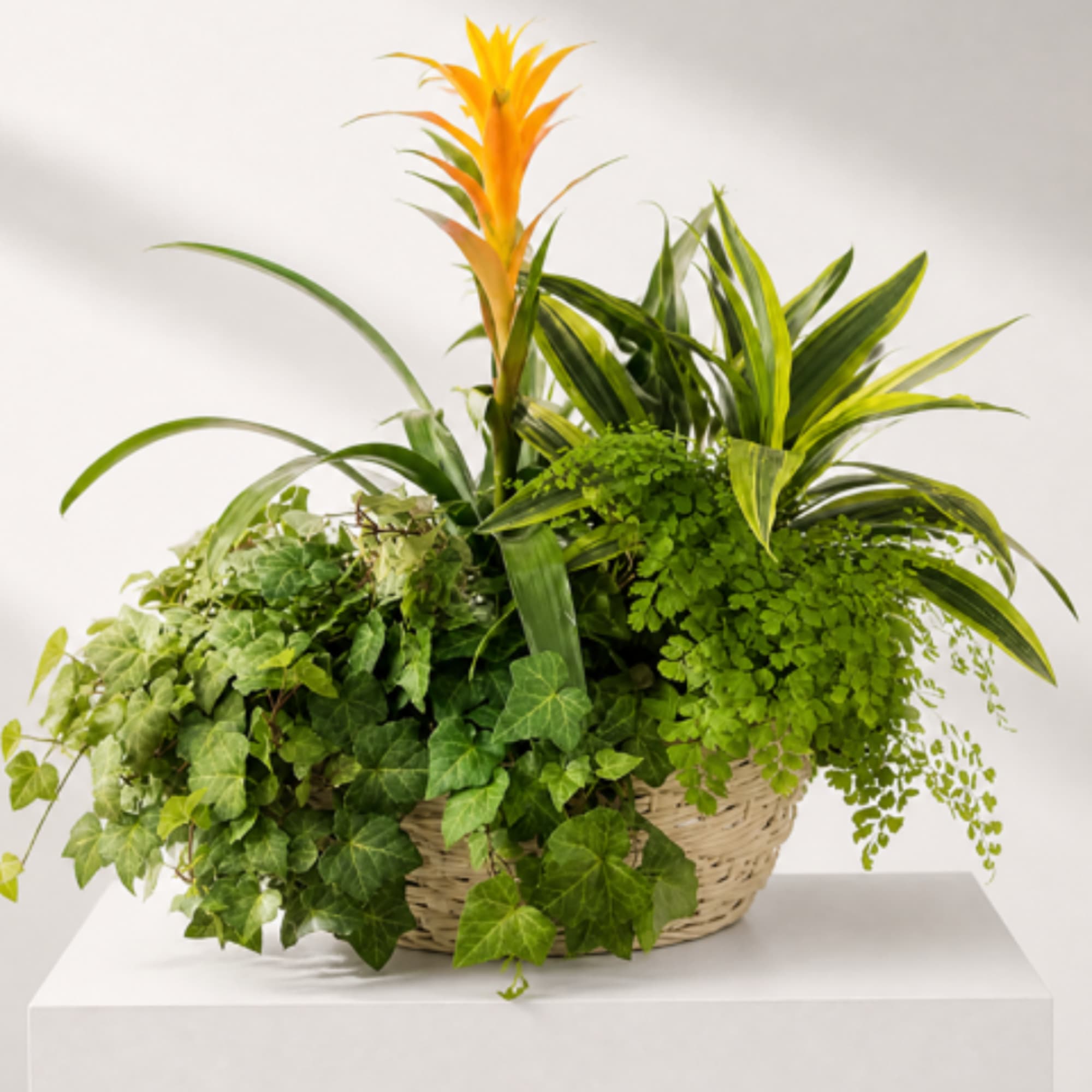 Tropical plant arrangement in a woven basket with orange and green foliage