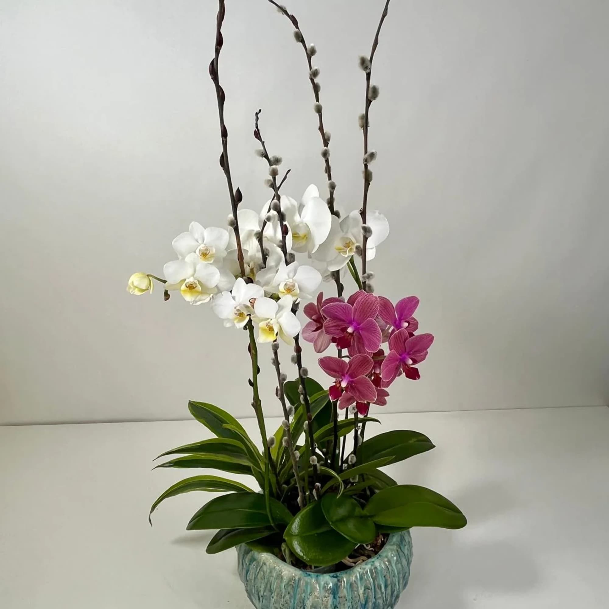 Potted orchid arrangement with white and pink blooms in a ceramic bowl