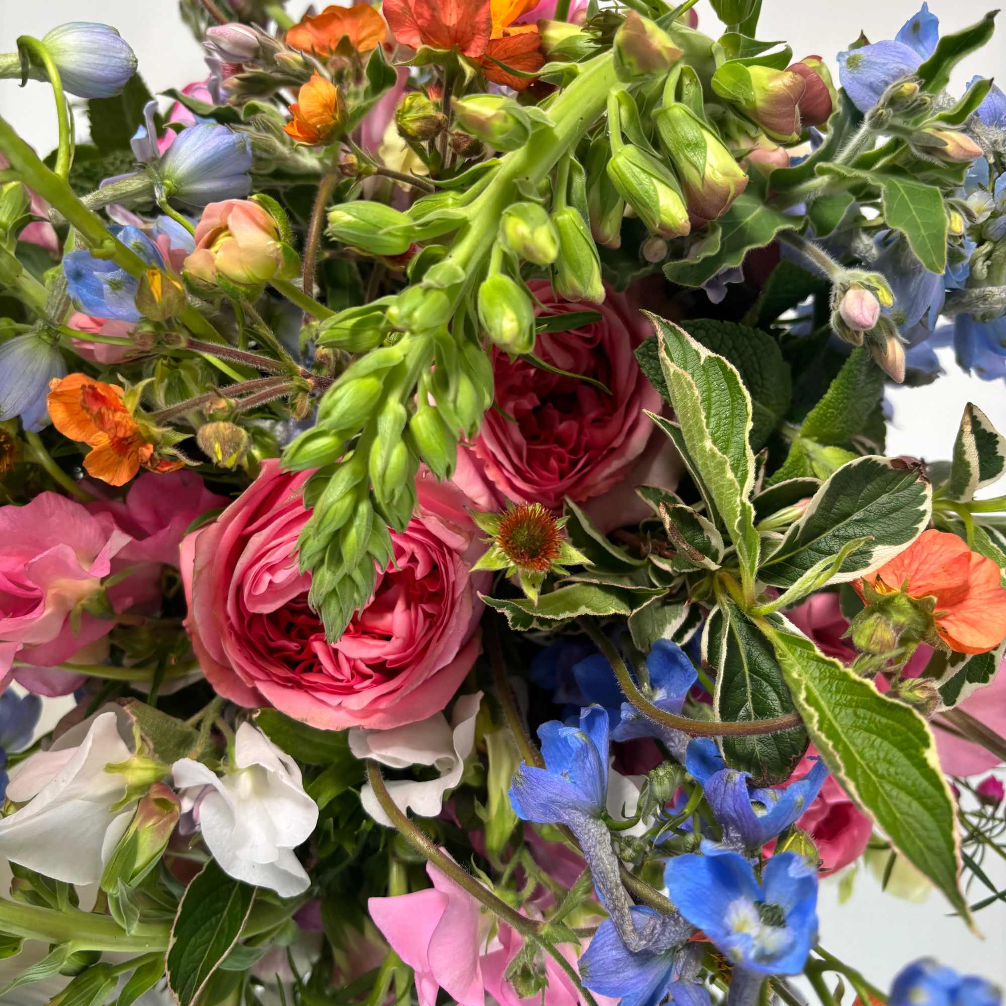 Mixed bouquet with pink roses and blue flowers
