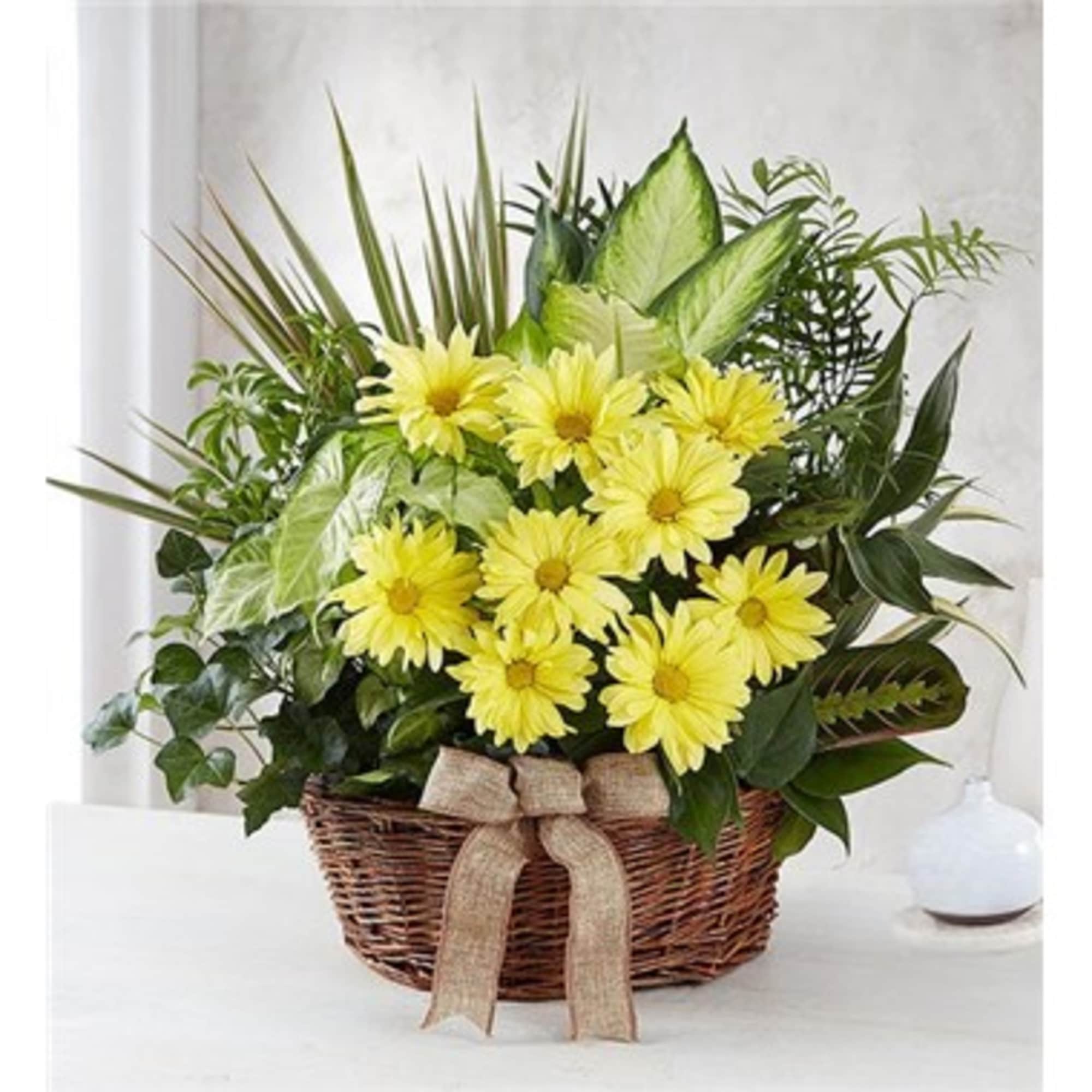 Yellow daisy bouquet in a wicker basket with a burlap bow