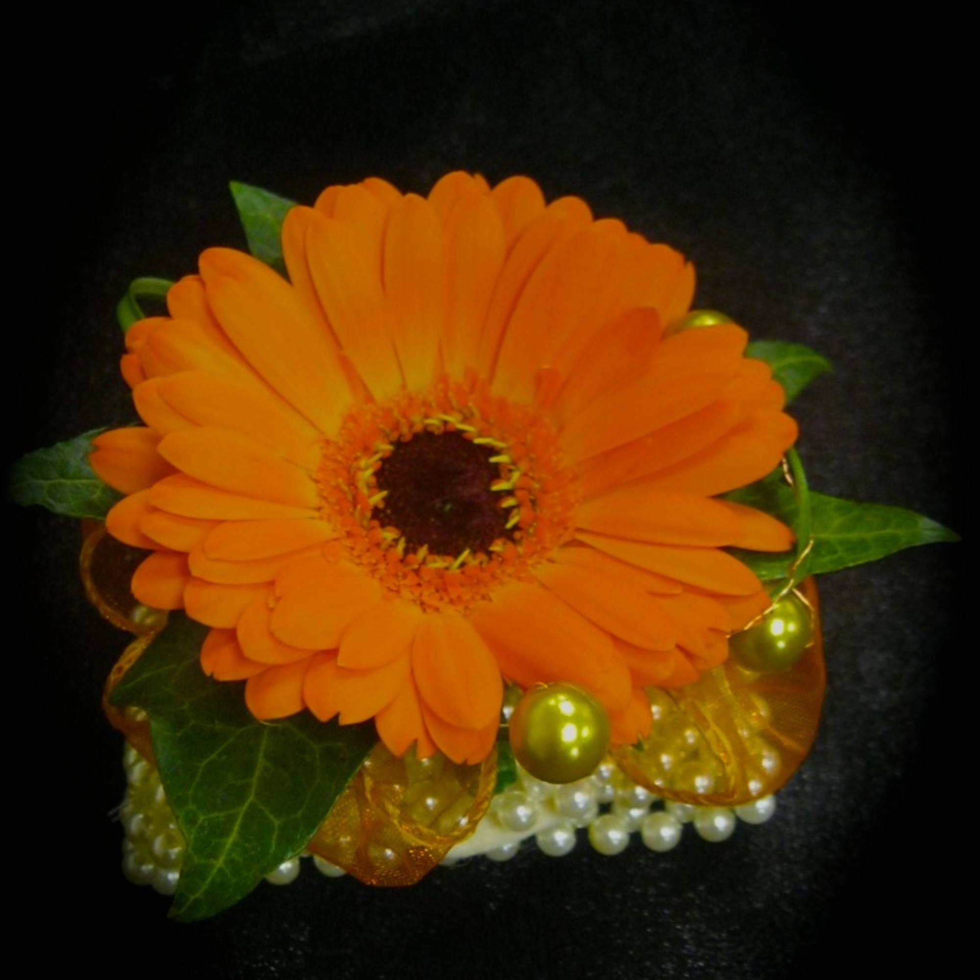 Orange gerbera daisy with green leaves and pearl accents