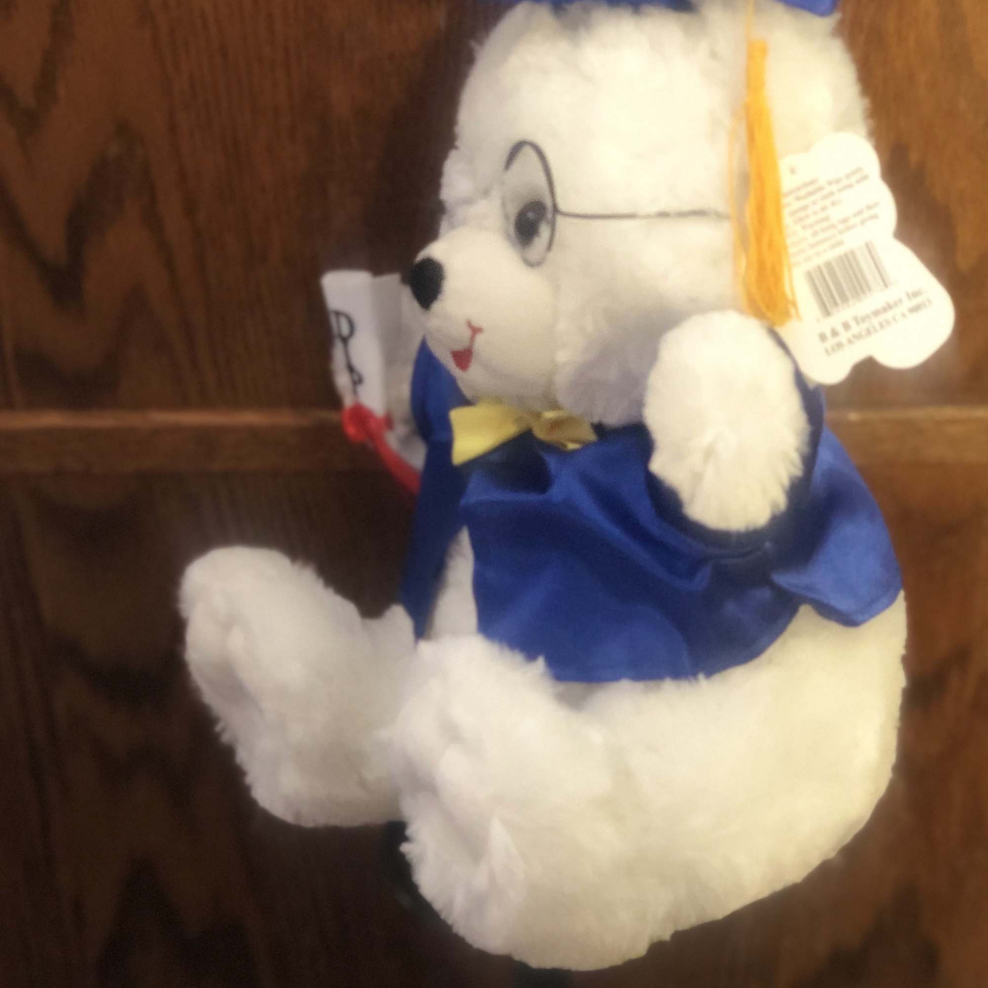White teddy bear in a blue graduation cap and gown