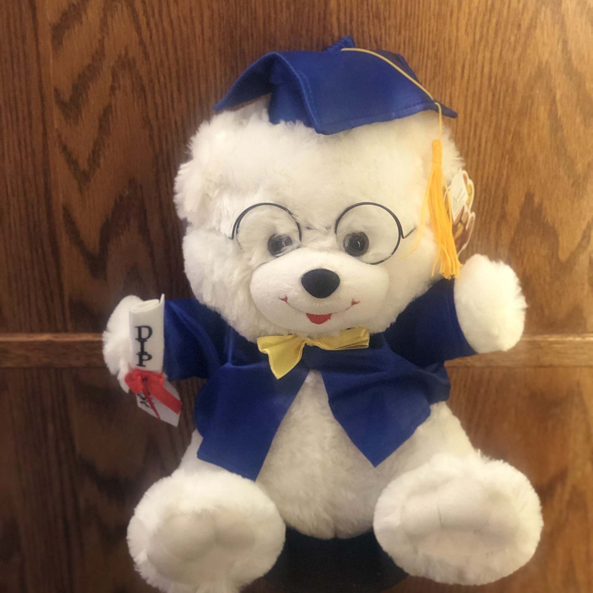 Graduation teddy bear in a blue cap and gown with glasses