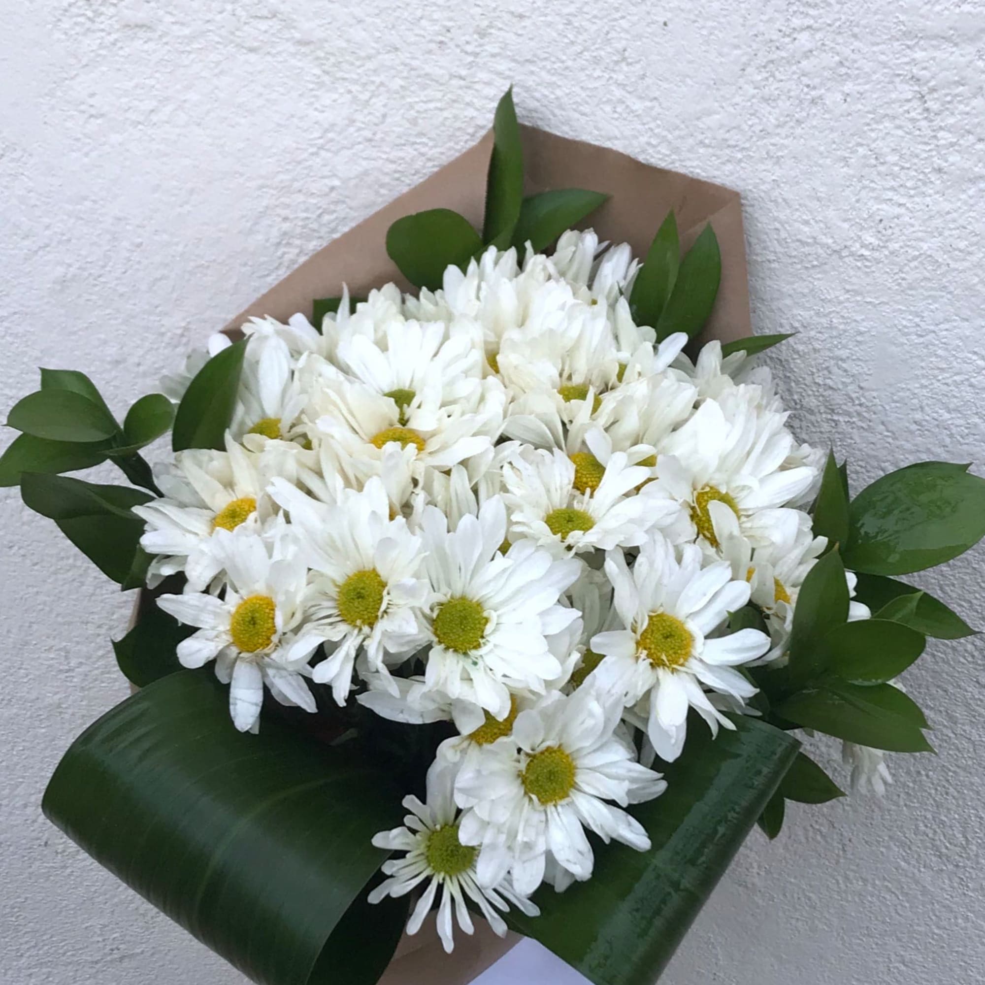 Bouquet of white daisies with green centers wrapped in brown paper