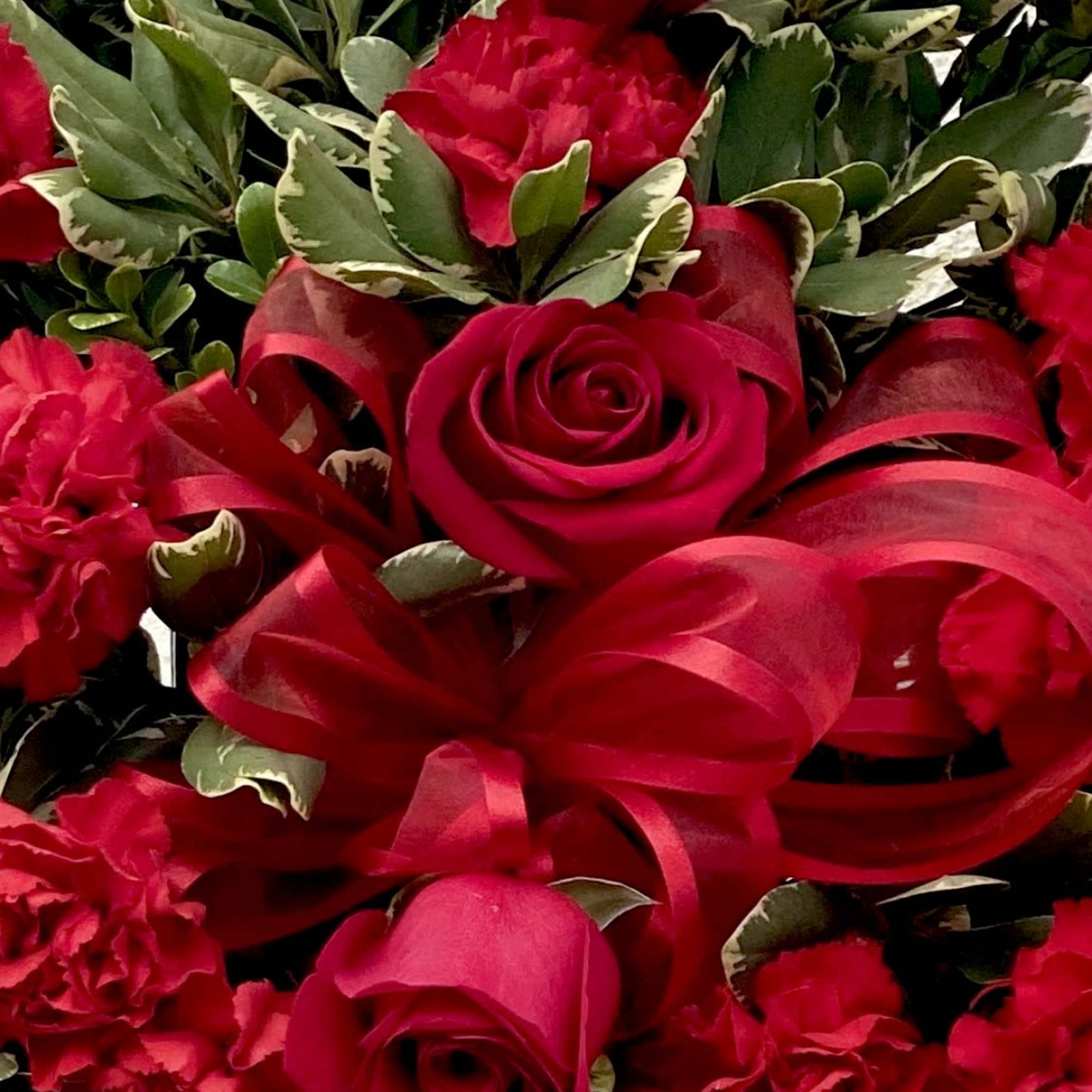 Red roses and carnations with variegated greenery and a red ribbon