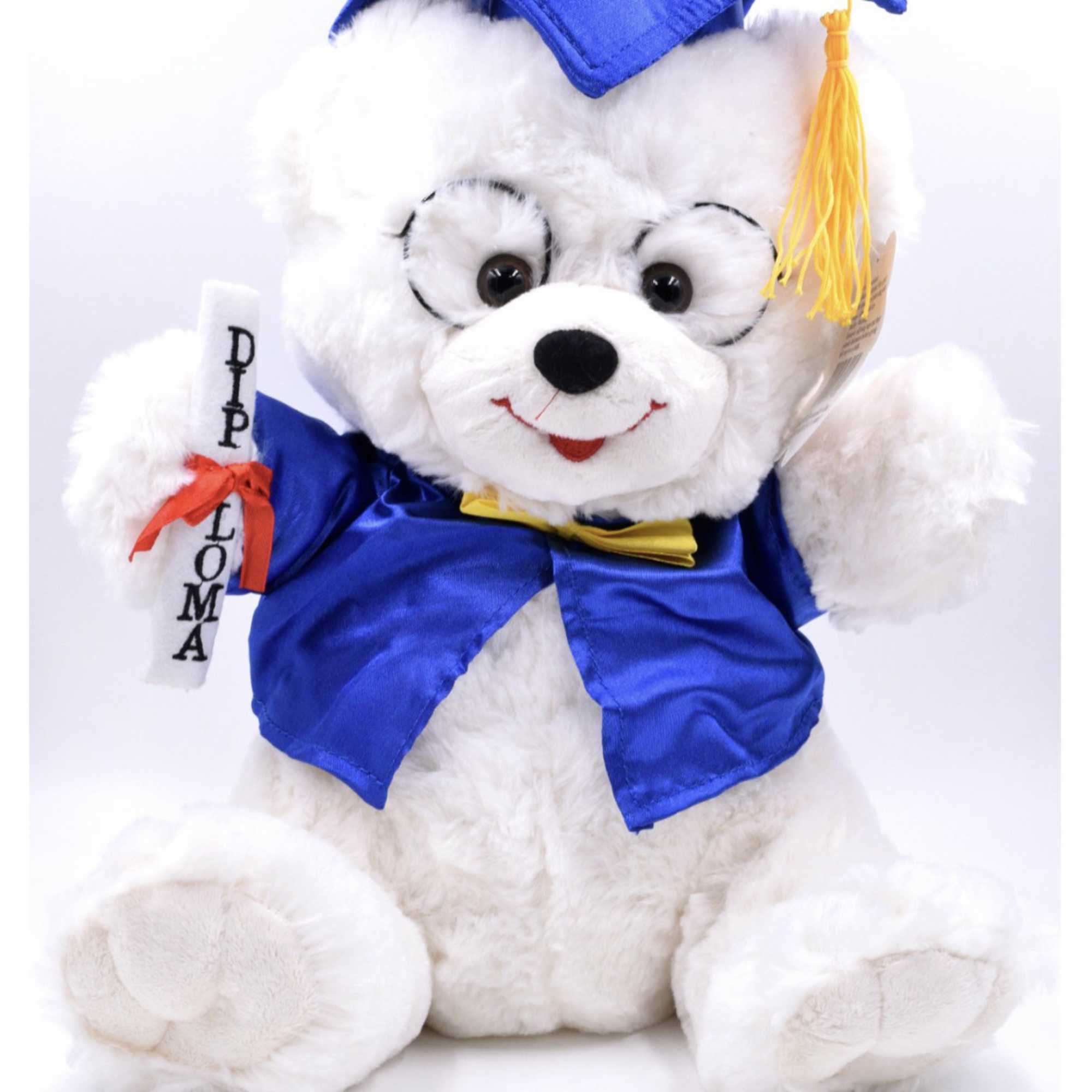 Plush teddy bear in a blue graduation cap and gown holding a diploma