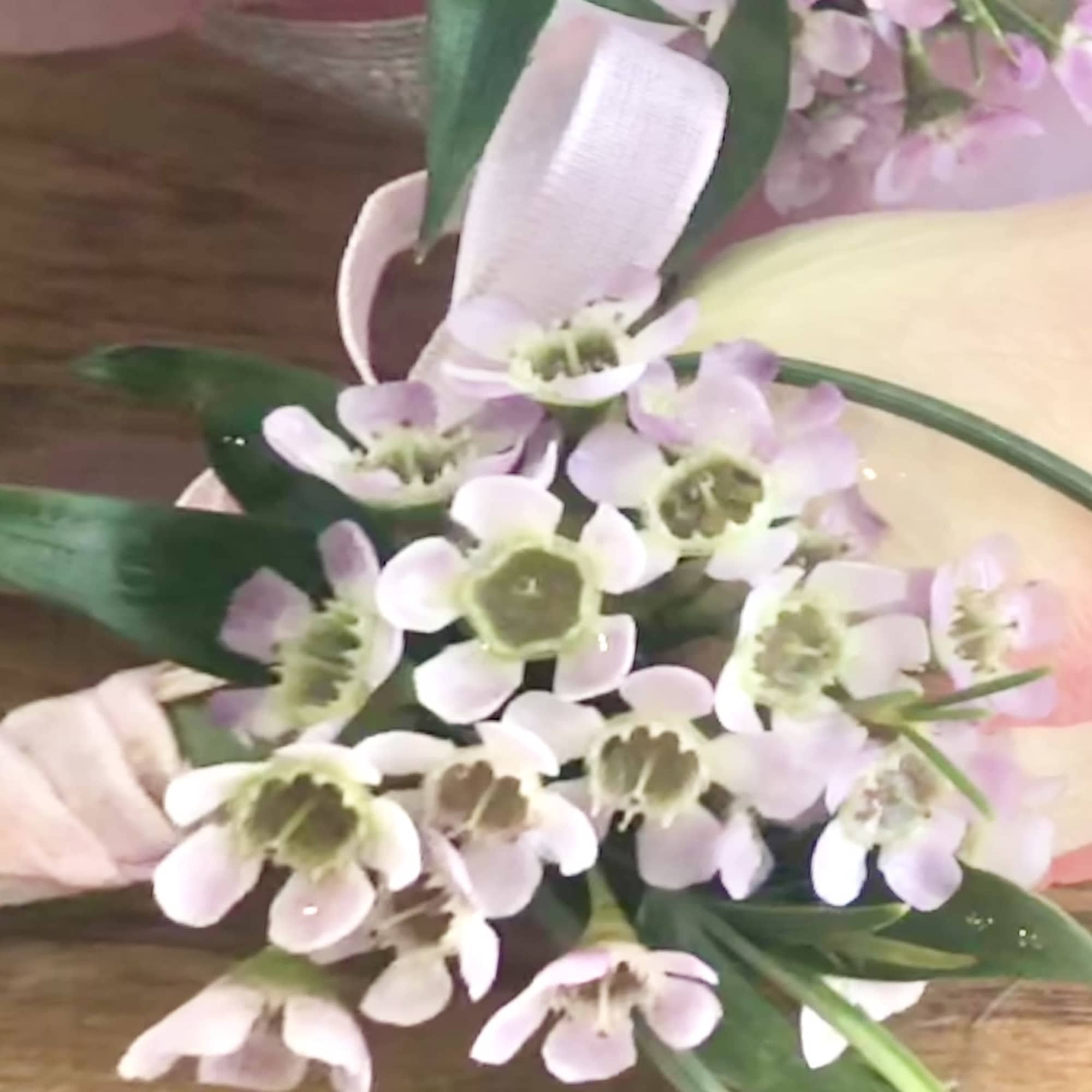 Pink rose with small white flowers and ribbon wrap