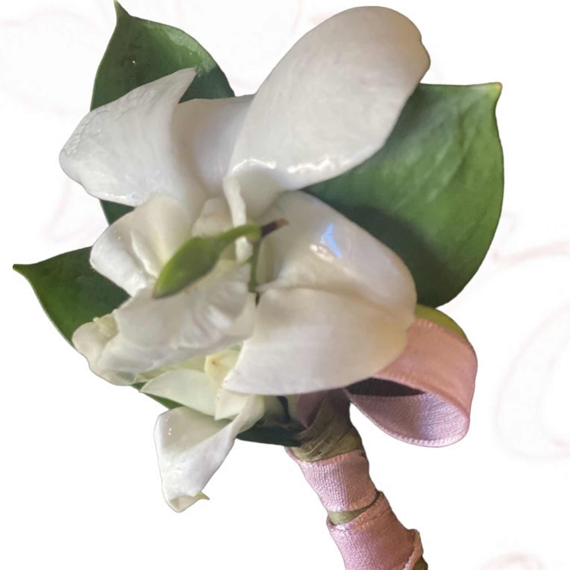 White orchid boutonniere with green leaves and pink ribbon wrap