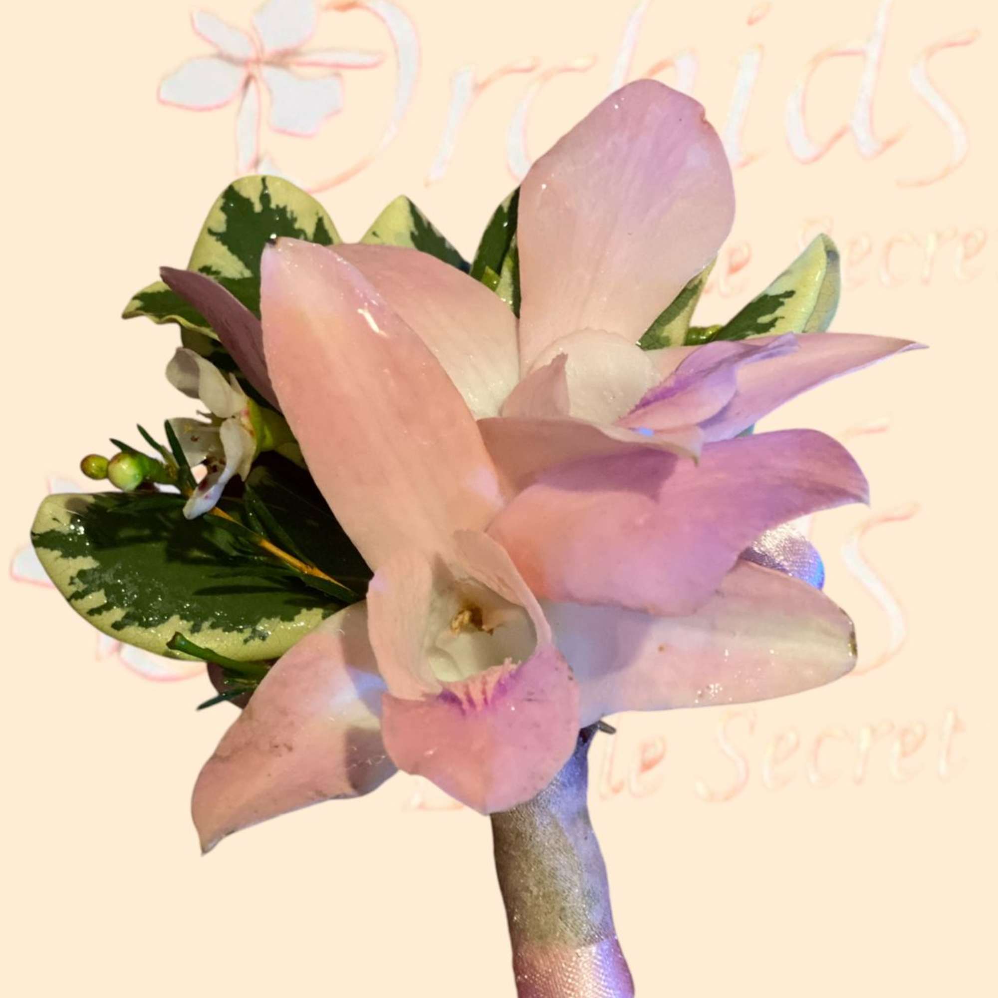 Pink orchid boutonniere with variegated leaves