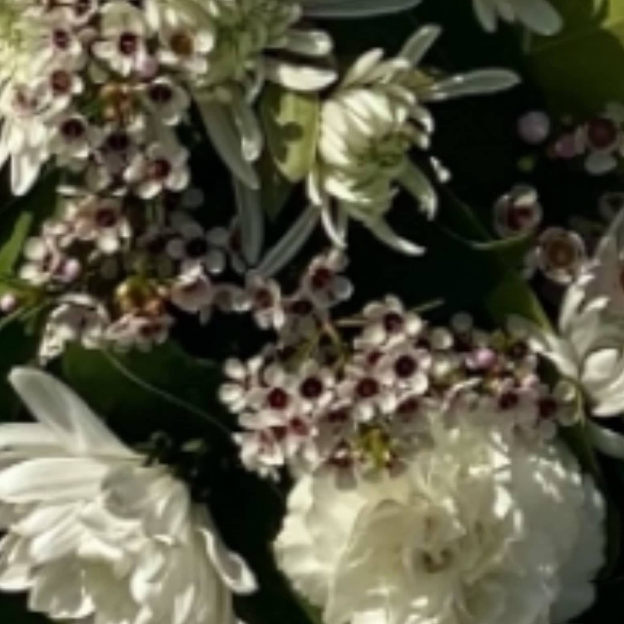 White chrysanthemum blooms with small berry clusters and dark foliage
