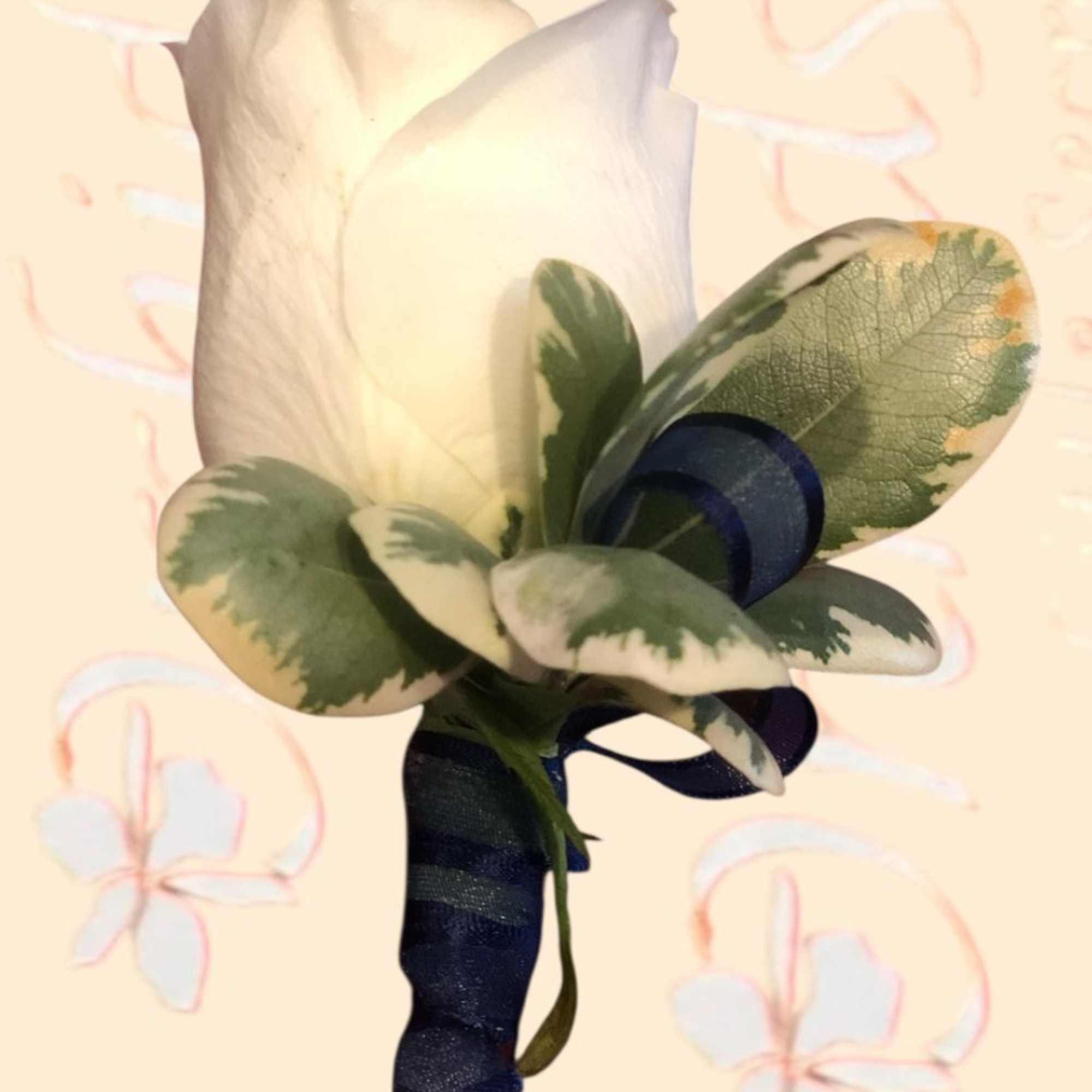 White rose boutonniere with variegated leaves and navy ribbon