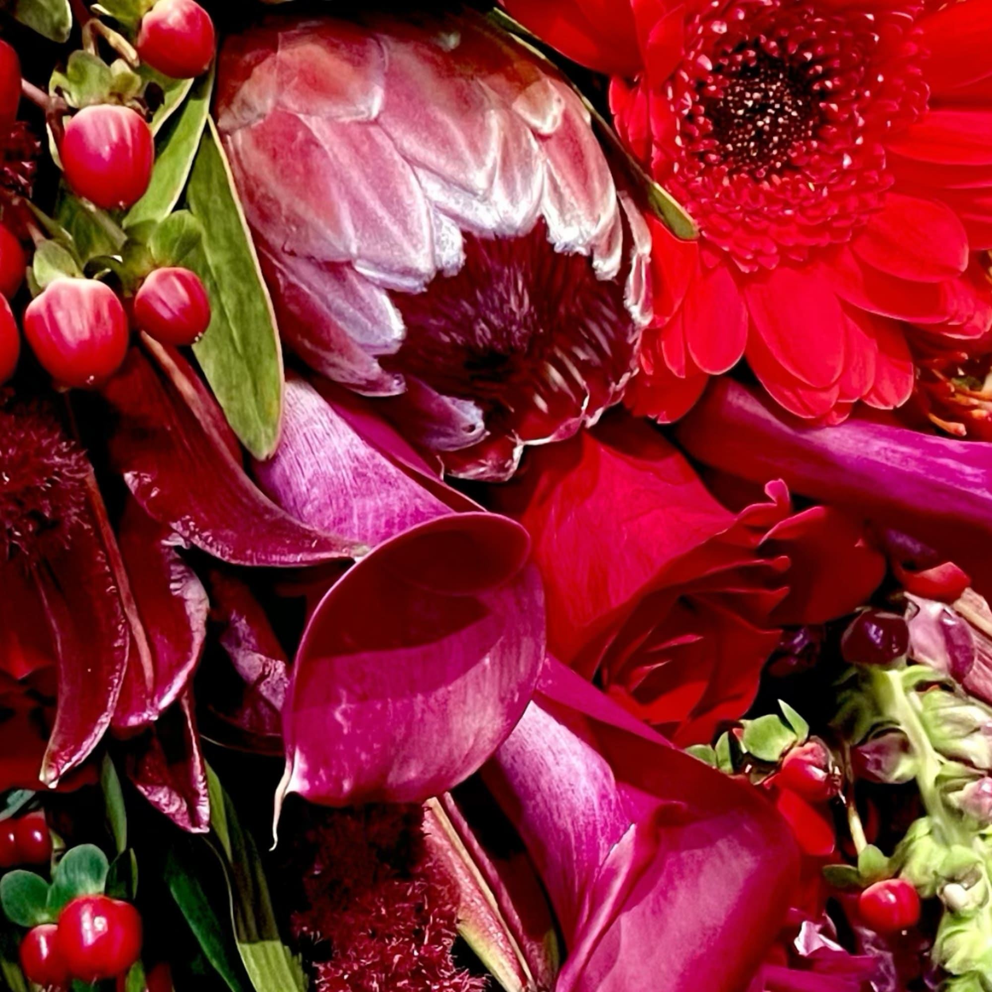Close-up bouquet with red gerbera daisies, pink protea, and magenta calla lilies