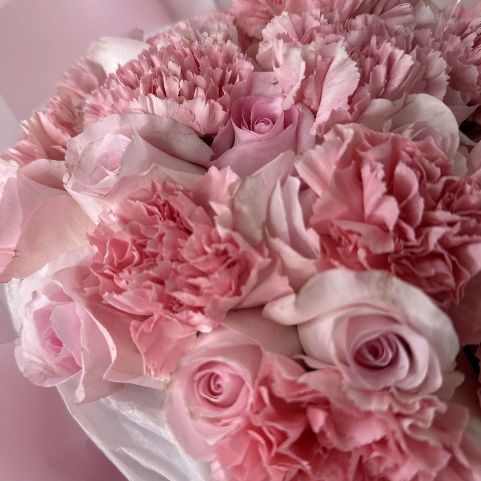 Pink bouquet of roses and carnations wrapped in pale paper