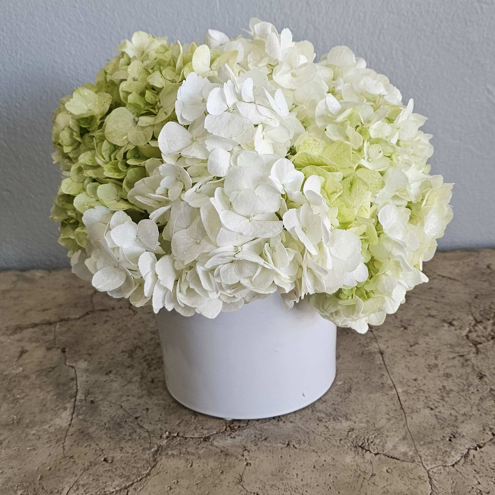 White and pale green hydrangeas arranged in a white container