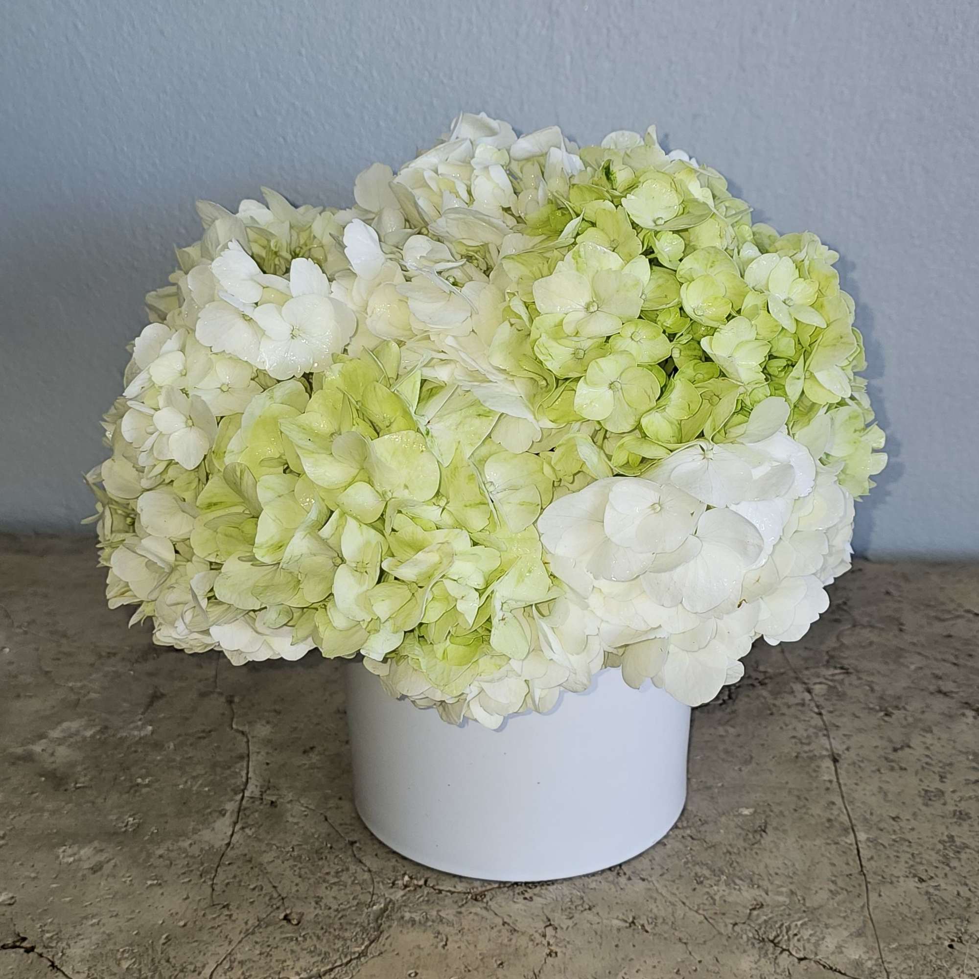 White and pale green hydrangeas arranged in a white container, photo 2 of 3