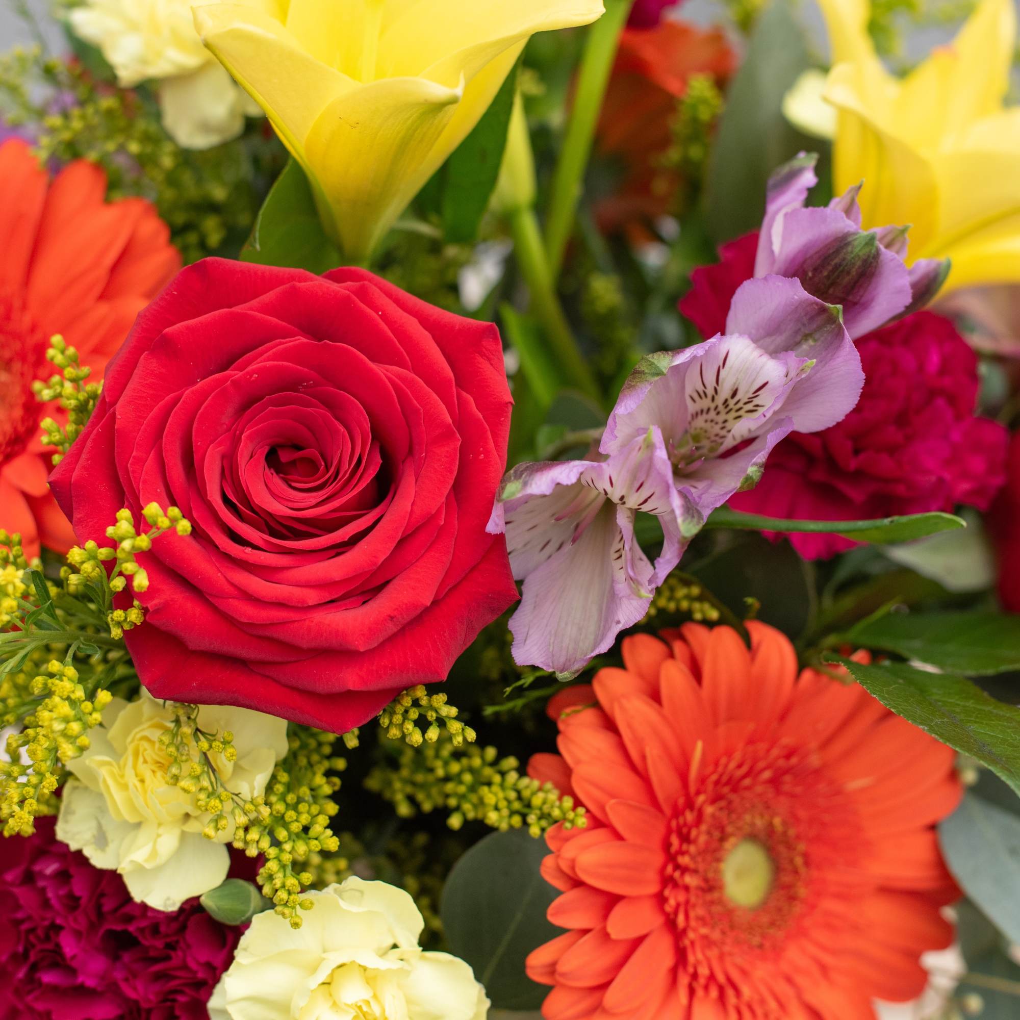 Mixed bouquet with red rose, yellow calla lilies, and orange gerbera daisies