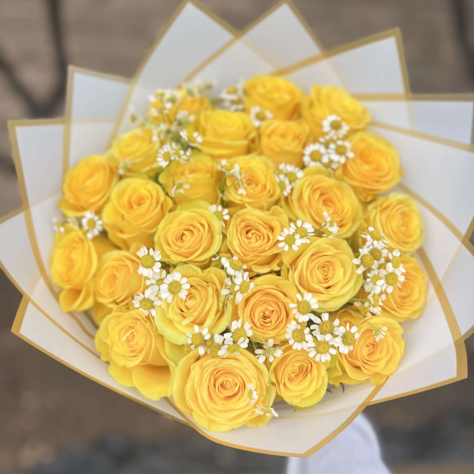 Premium fresh-cut yellow roses Boquete 
Celebrate the magic of El D&iacute;a de