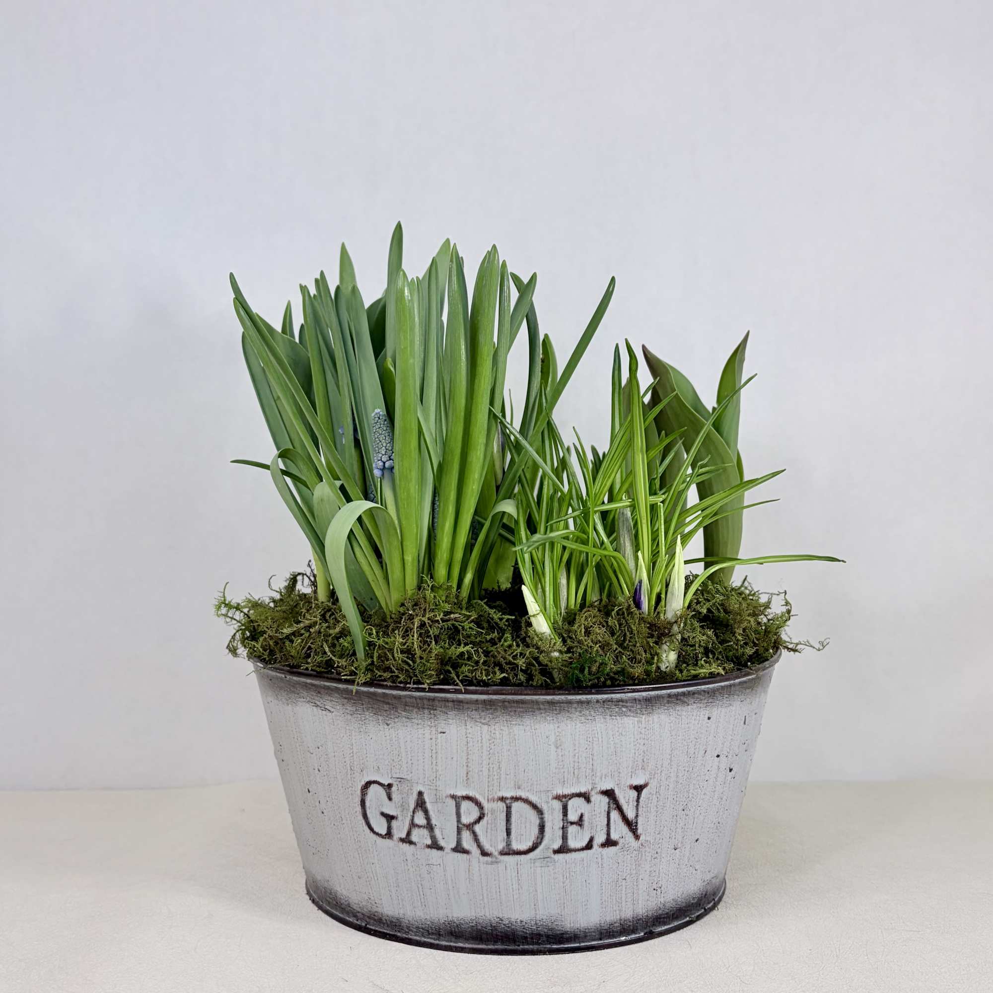 A seasonal bulb garden celebrating spring. Available for a limited time. Each