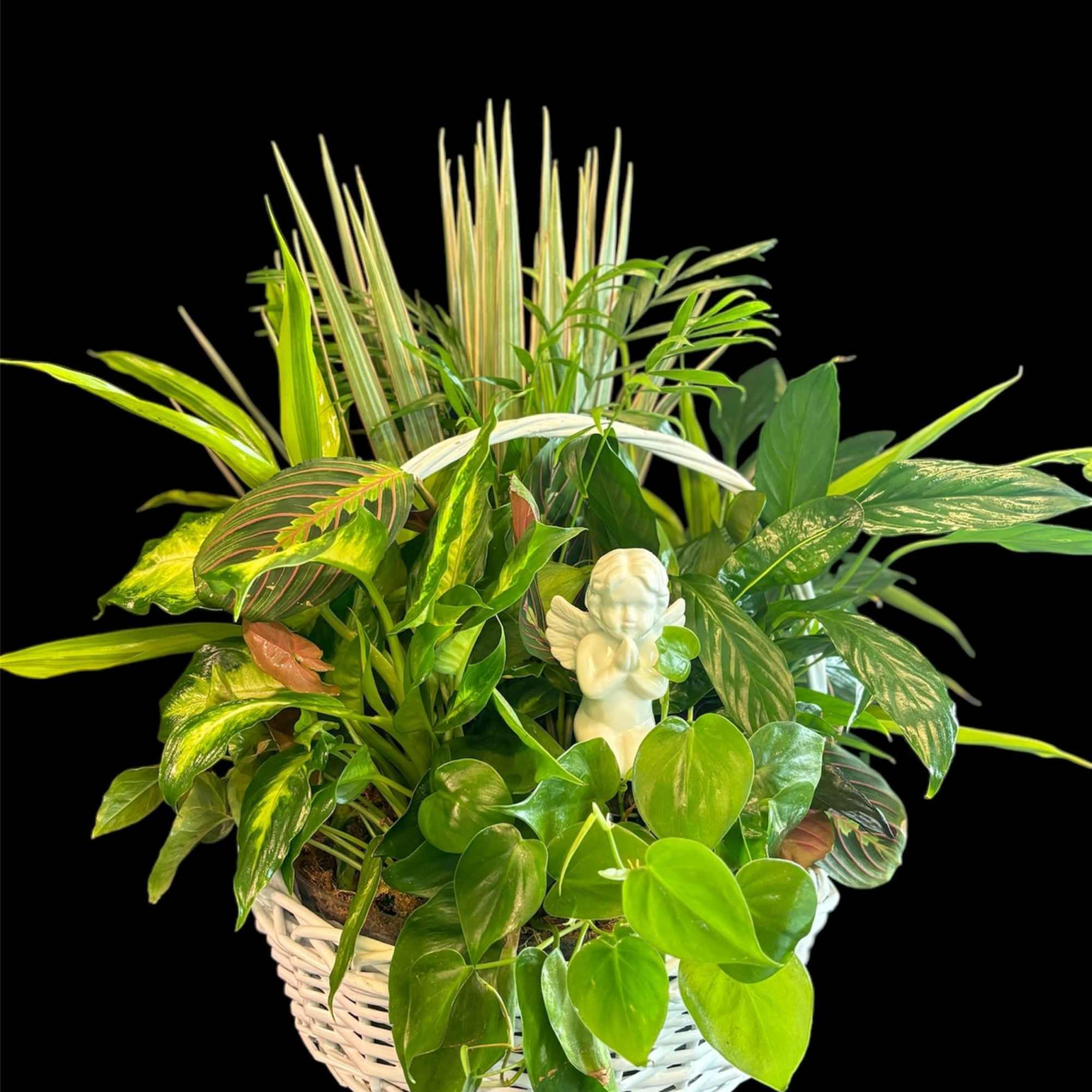 Mixed green houseplants in a white wicker basket with a small angel figurine
