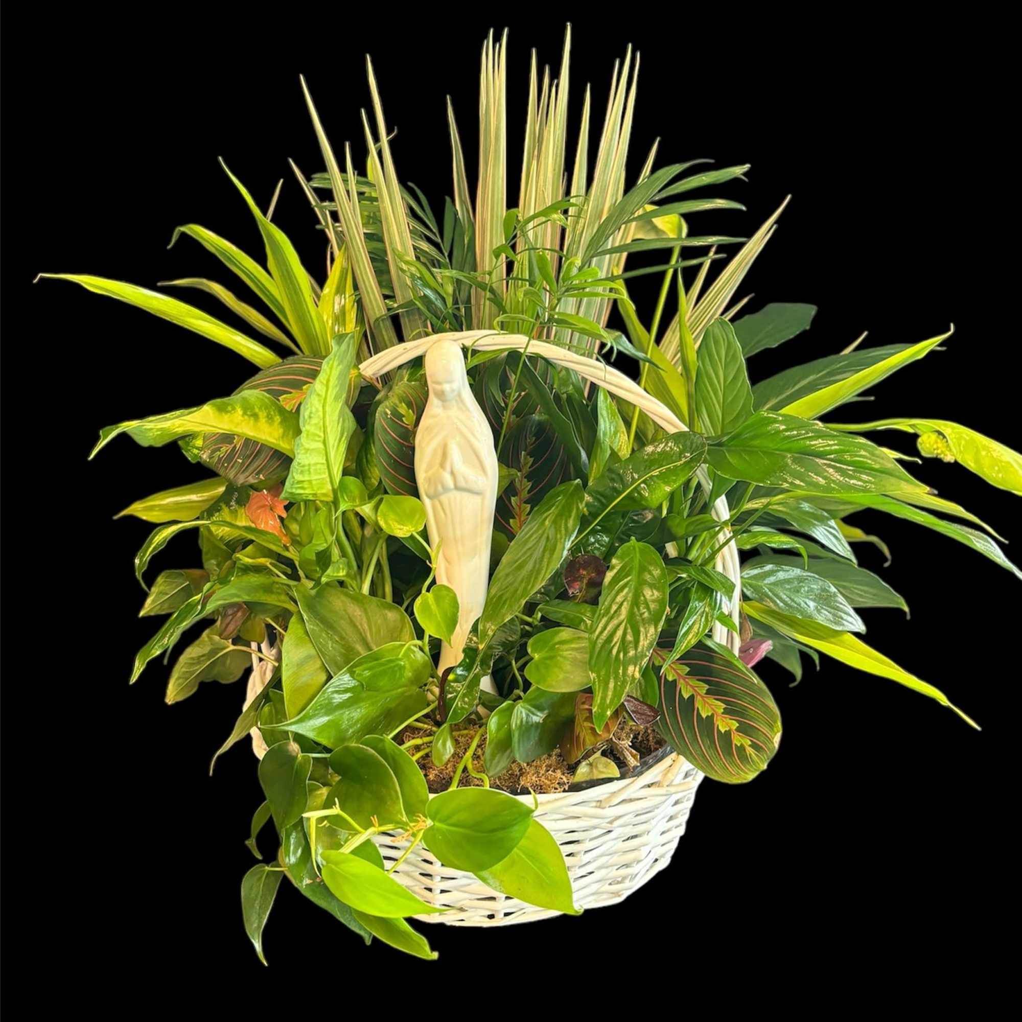 Tropical plant arrangement in a white basket with mixed green foliage