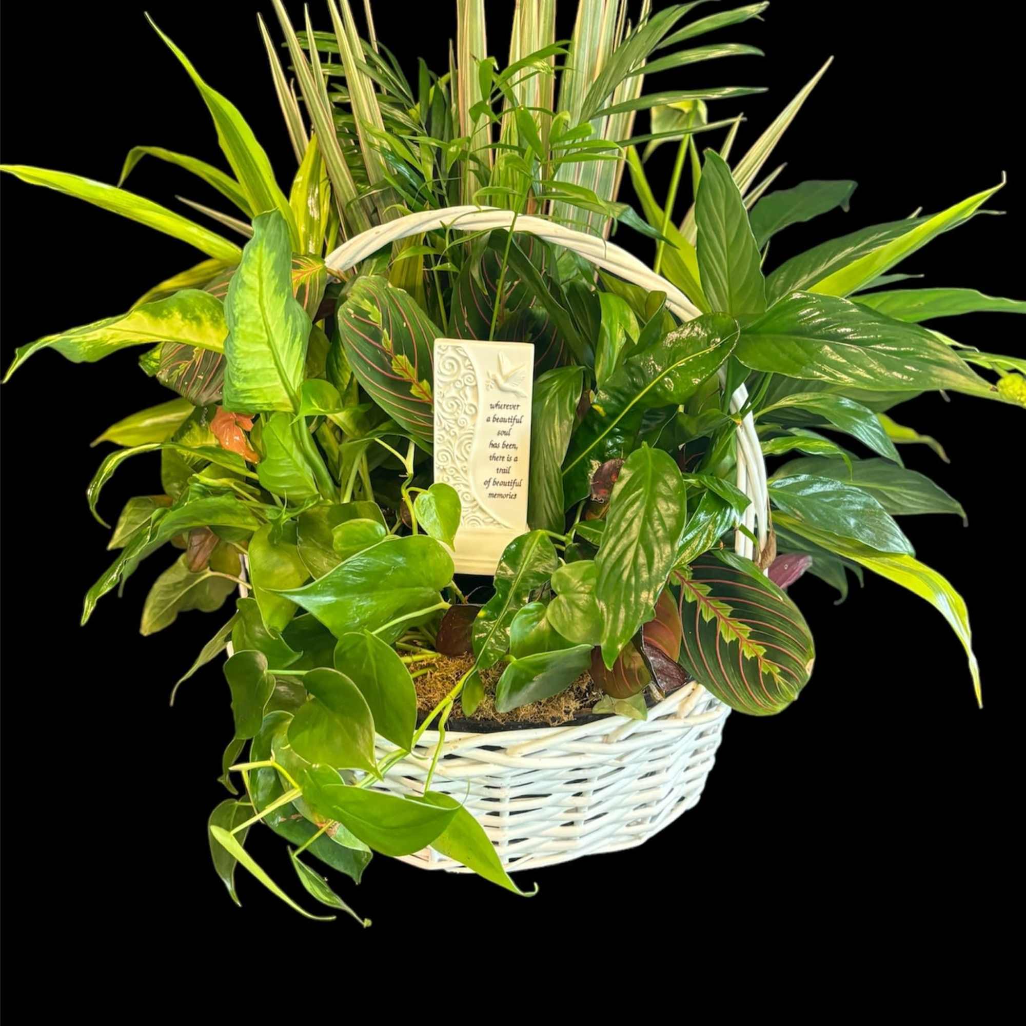 Mixed green plant basket with a memorial plaque