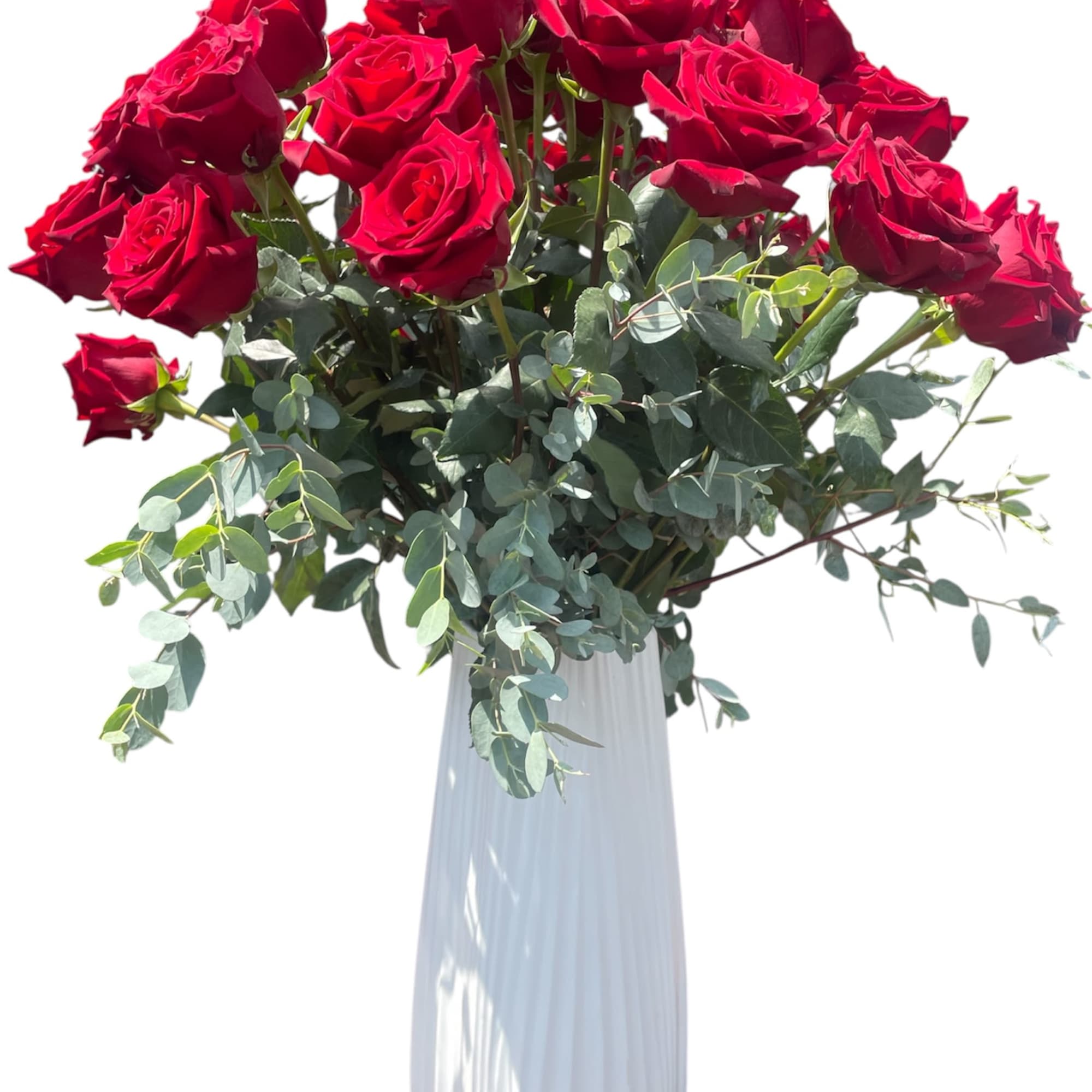 Red roses arranged in a tall white vase