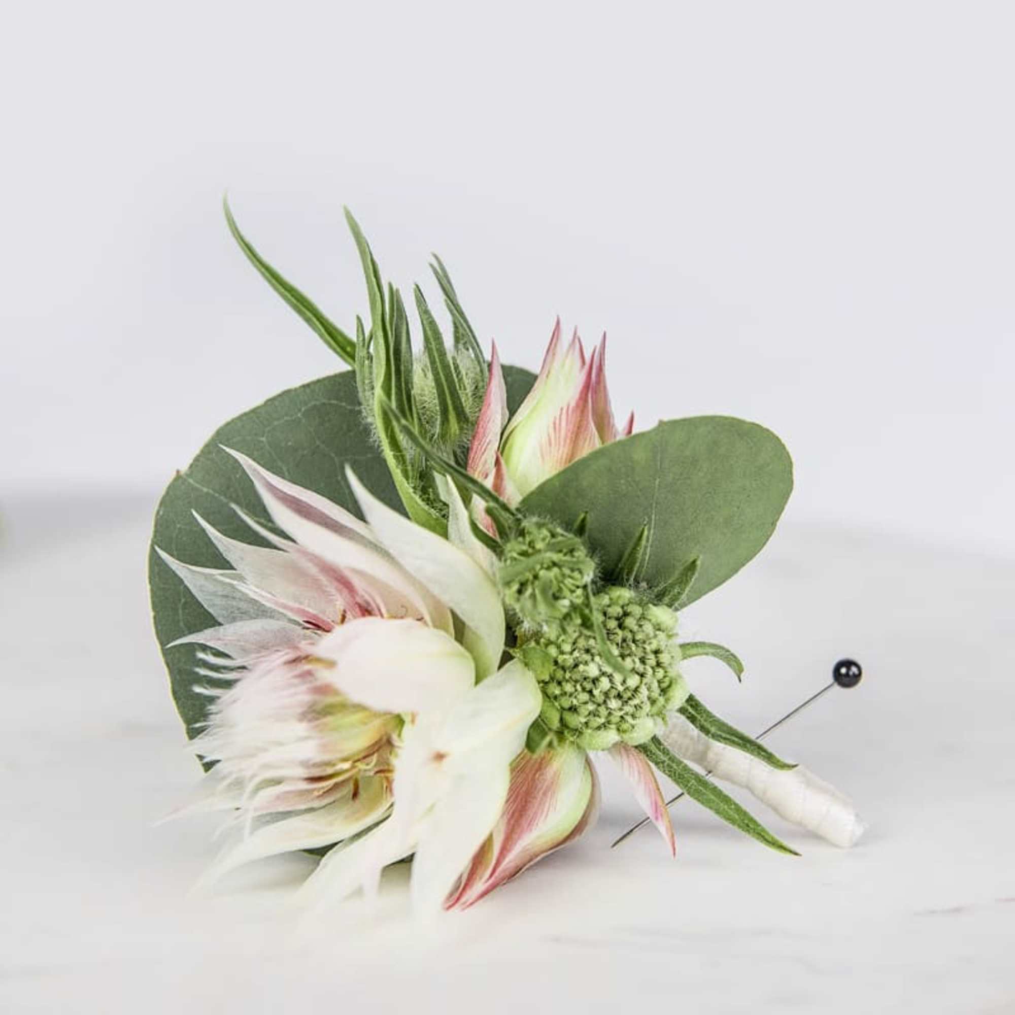 Small boutonniere with white and pale pink flowers and green foliage