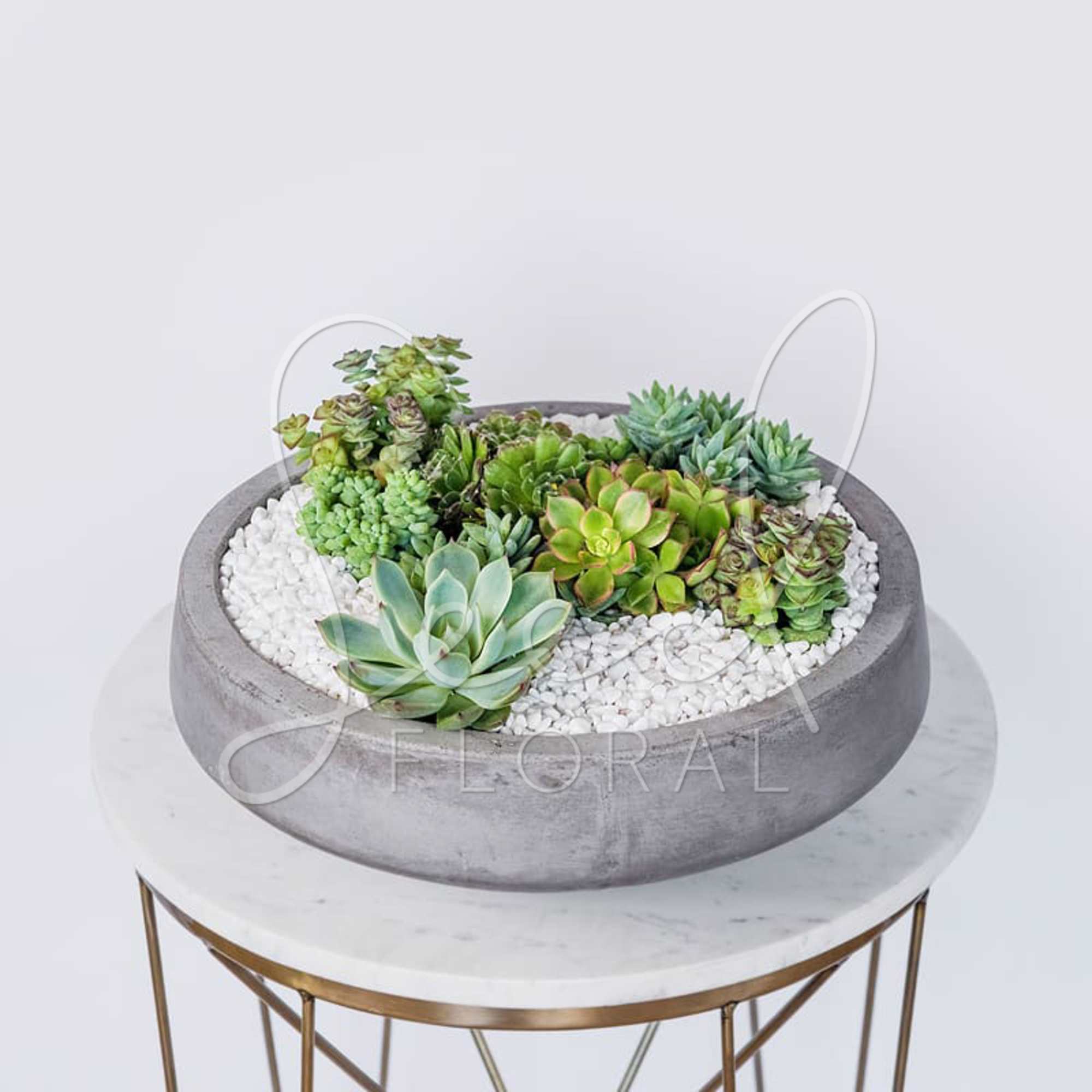 Succulent arrangement in a round gray bowl with white pebbles