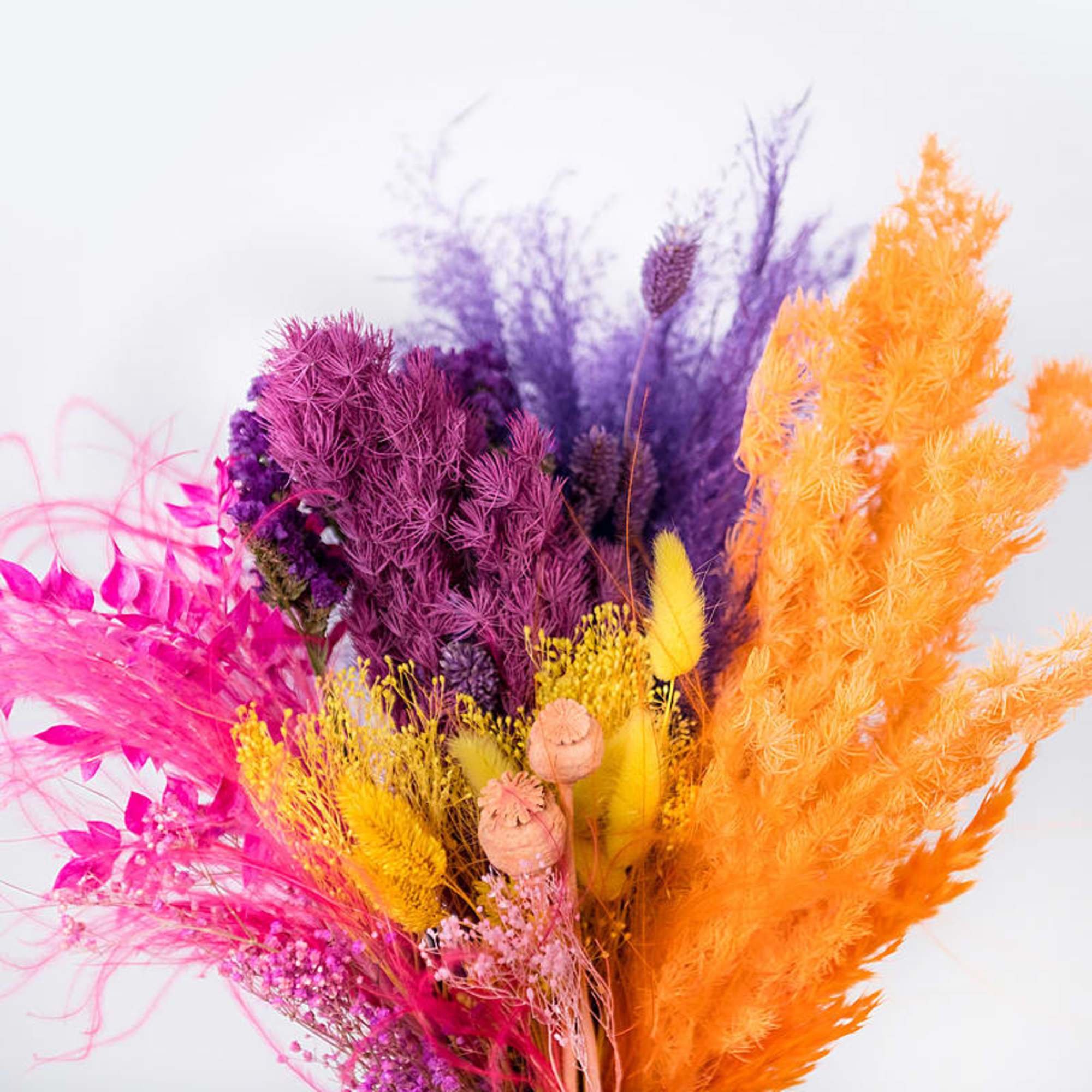 Bright dried bouquet with pink, purple, yellow, and orange plumes