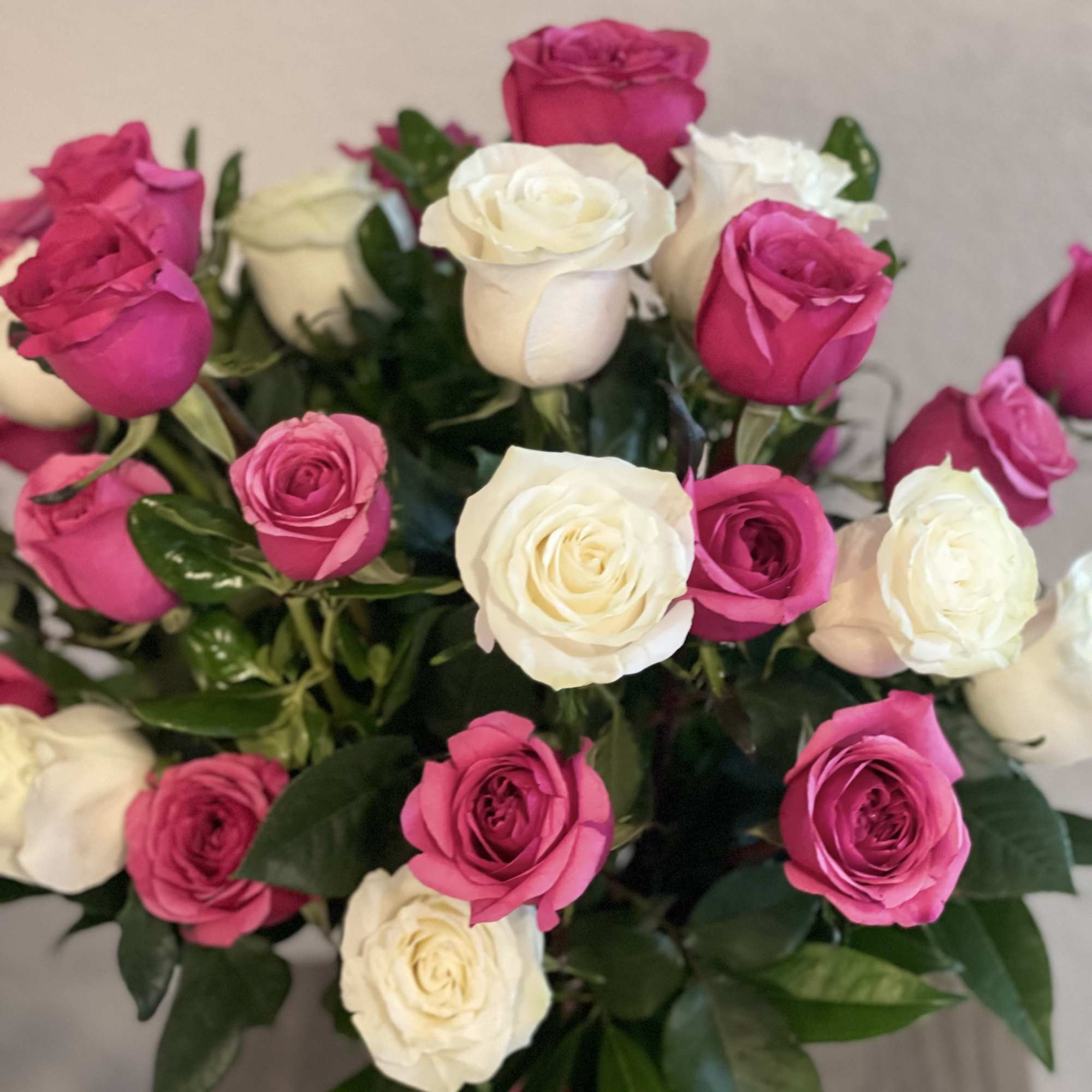 Bouquet of pink and white roses with dark green foliage