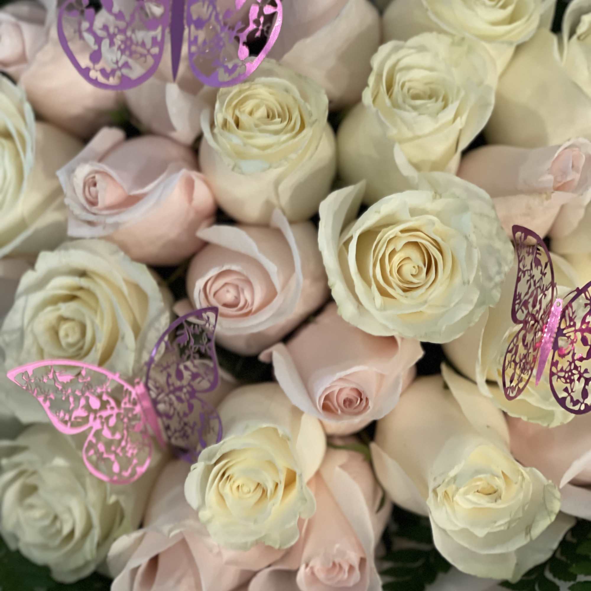 Bouquet of pale pink and cream roses with purple butterfly picks