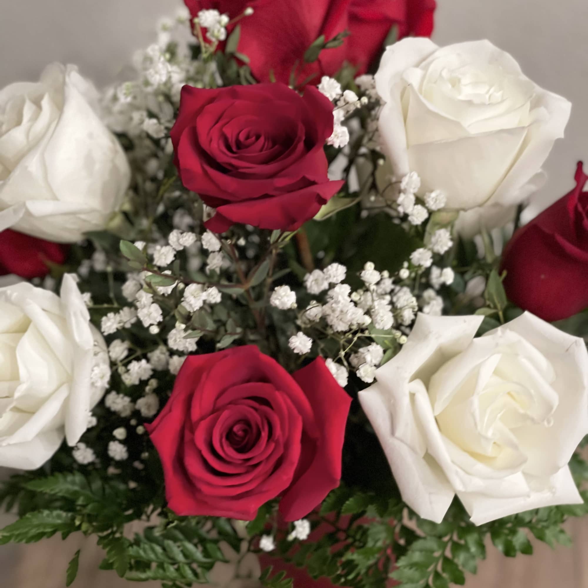Bouquet of red and white roses with baby's breath
