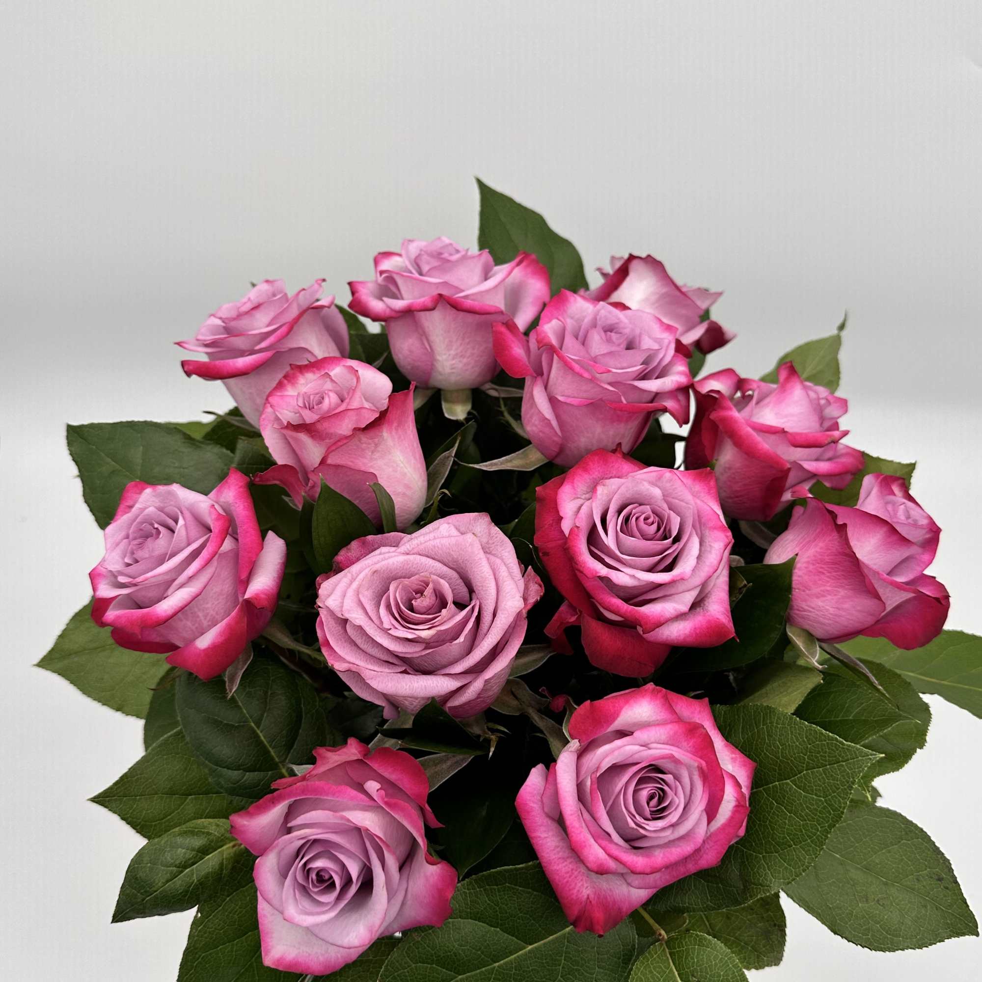 Bouquet of pink roses with dark green leaves