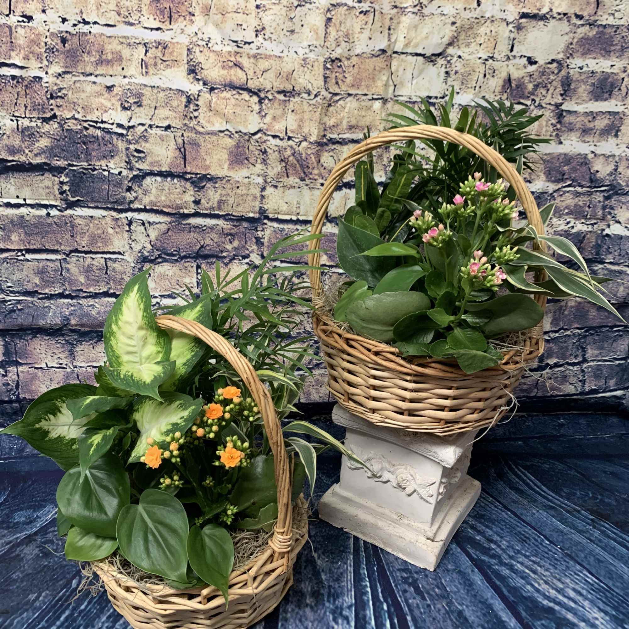 Two wicker baskets of potted plants and small orange flowers