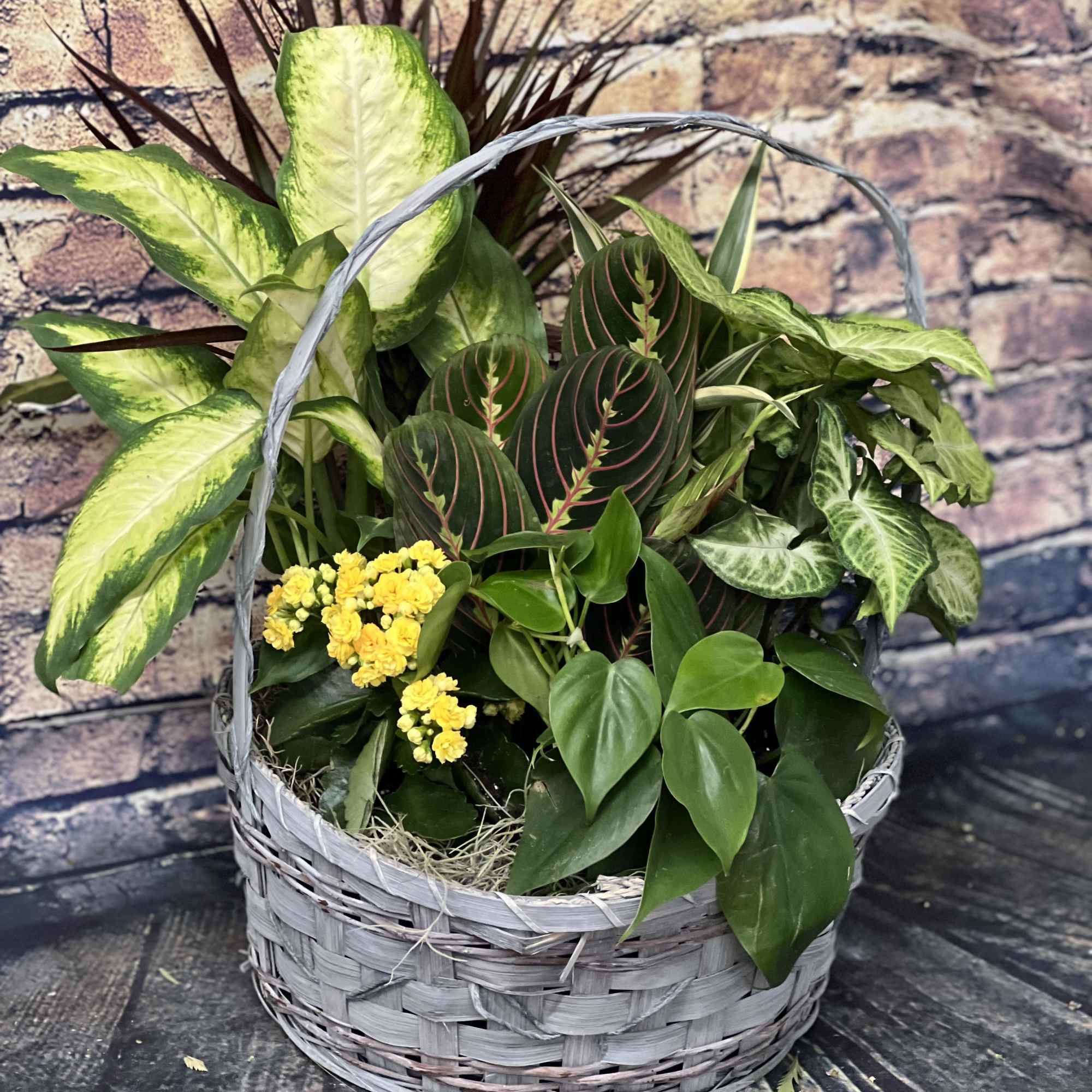 Basket of assorted potted plants with small yellow flowers