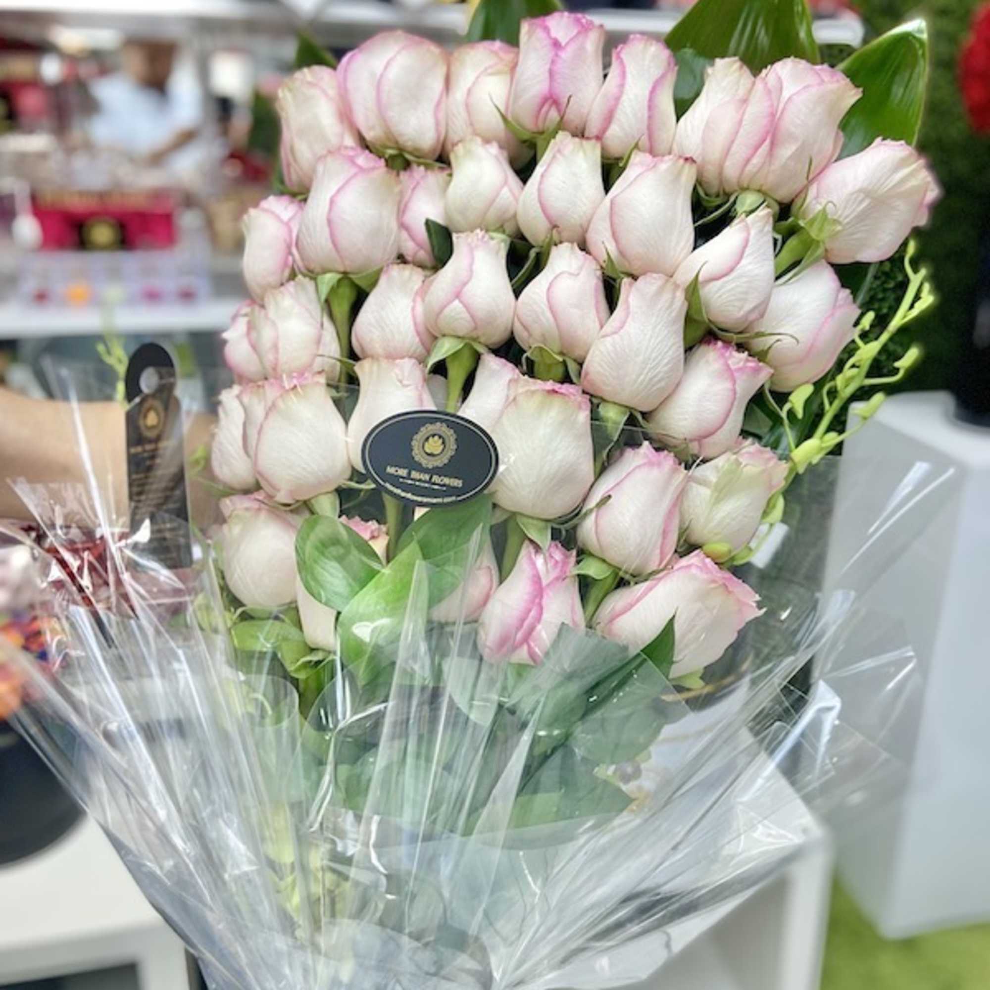 Tall bouquet of white roses with pink edges wrapped in clear cellophane with a black ribbon